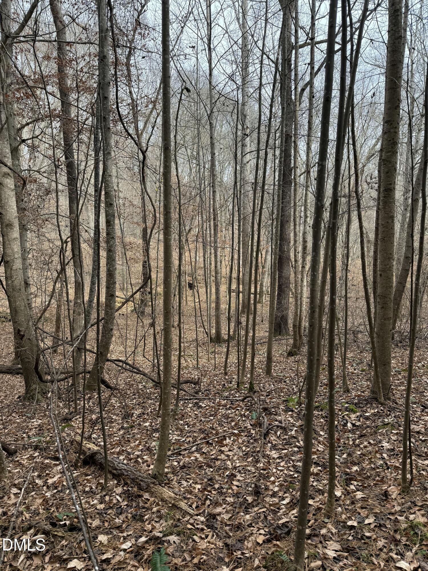 0 Tommie Daniel Road Oxford, NC 27565 - Photo 44 of 72 IMG_2241