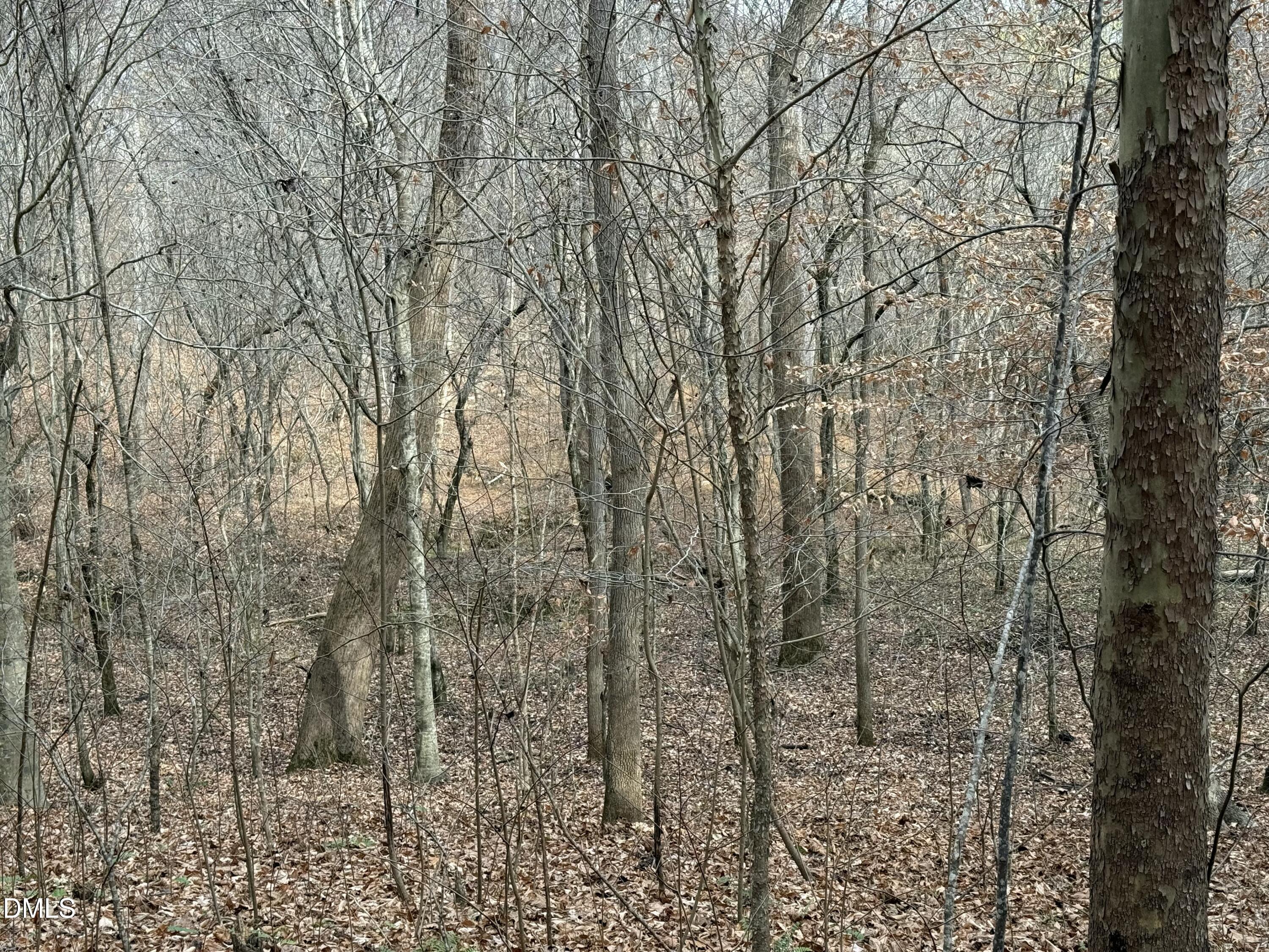 0 Tommie Daniel Road Oxford, NC 27565 - Photo 46 of 72 IMG_2249