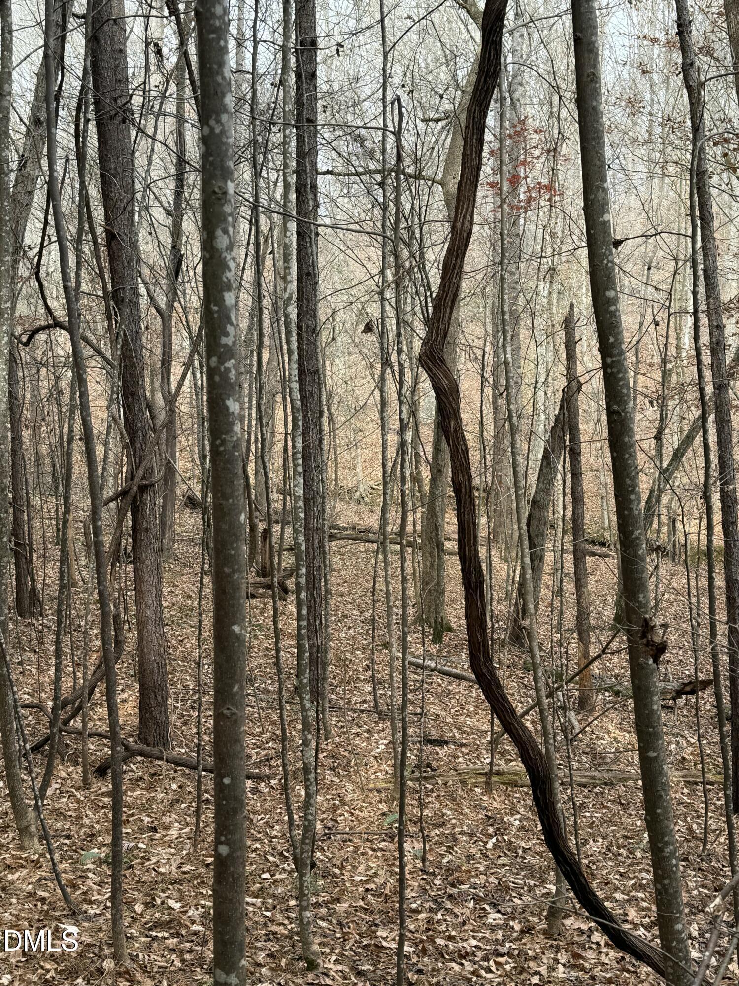 0 Tommie Daniel Road Oxford, NC 27565 - Photo 48 of 72 IMG_2243