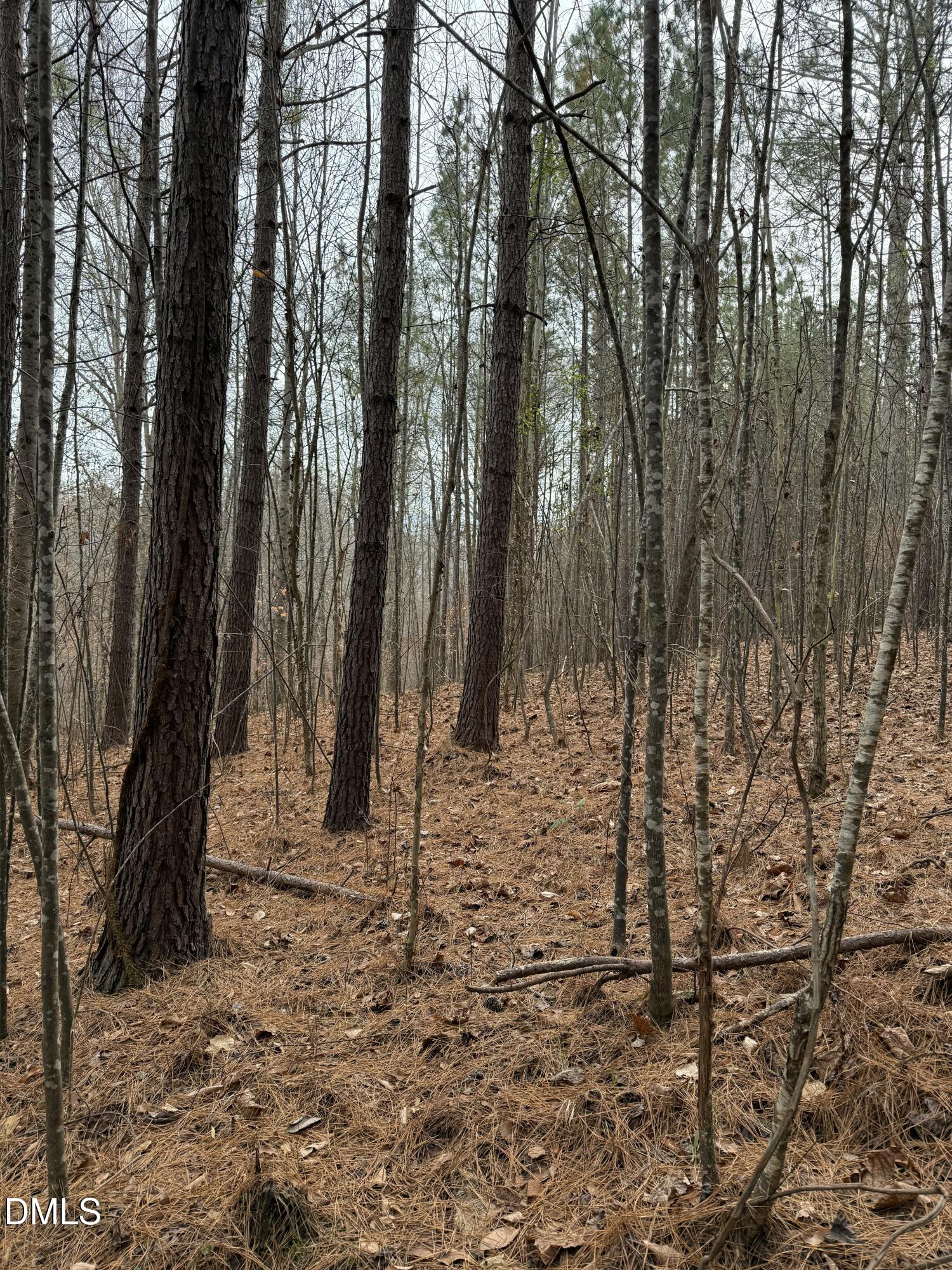 0 Tommie Daniel Road Oxford, NC 27565 - Photo 50 of 72 a view of a backyard of the house