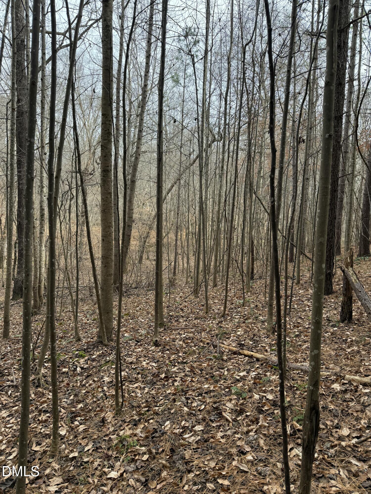 0 Tommie Daniel Road Oxford, NC 27565 - Photo 51 of 72 IMG_2242