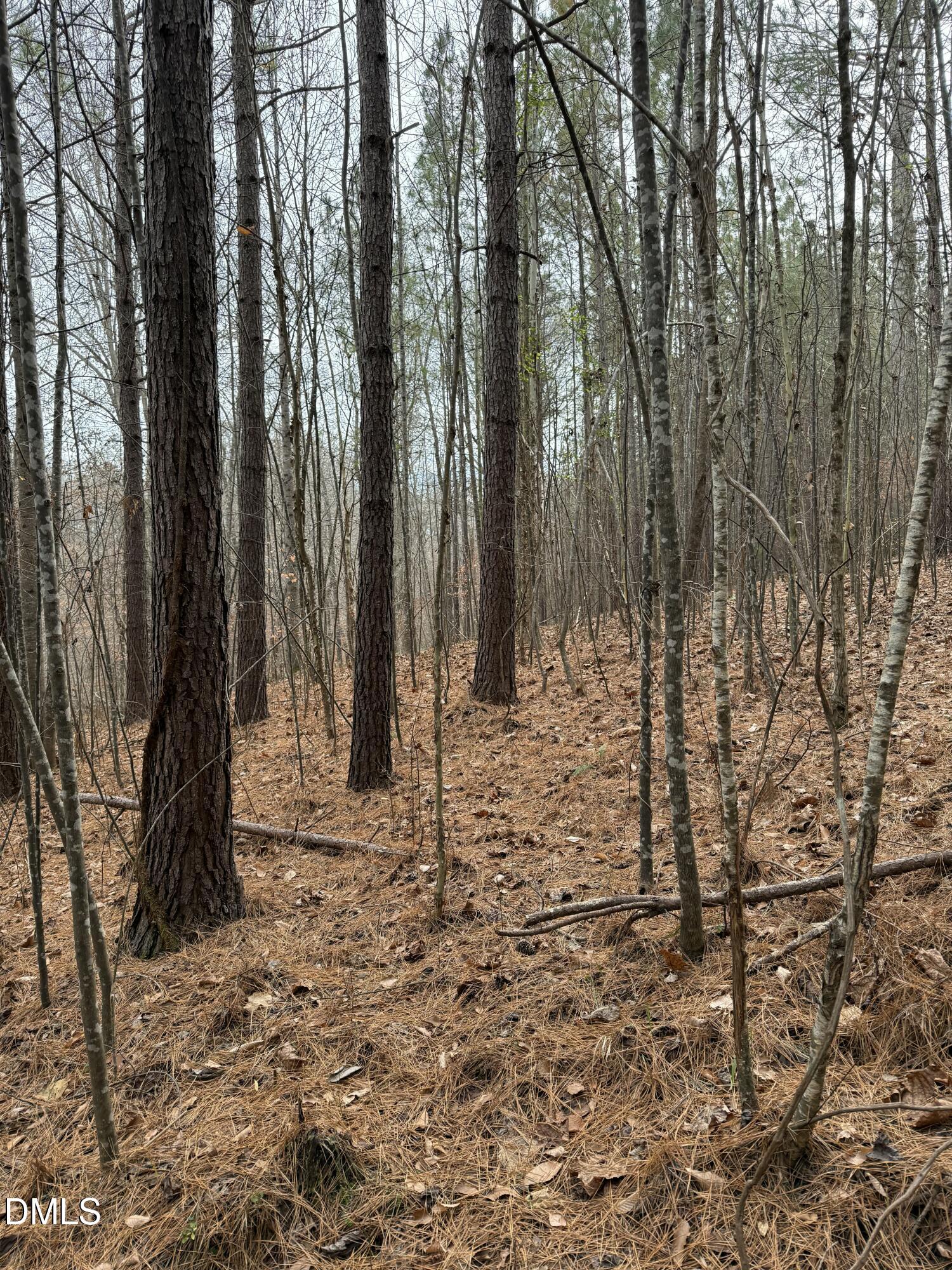 0 Tommie Daniel Road Oxford, NC 27565 - Photo 53 of 72 IMG_2248