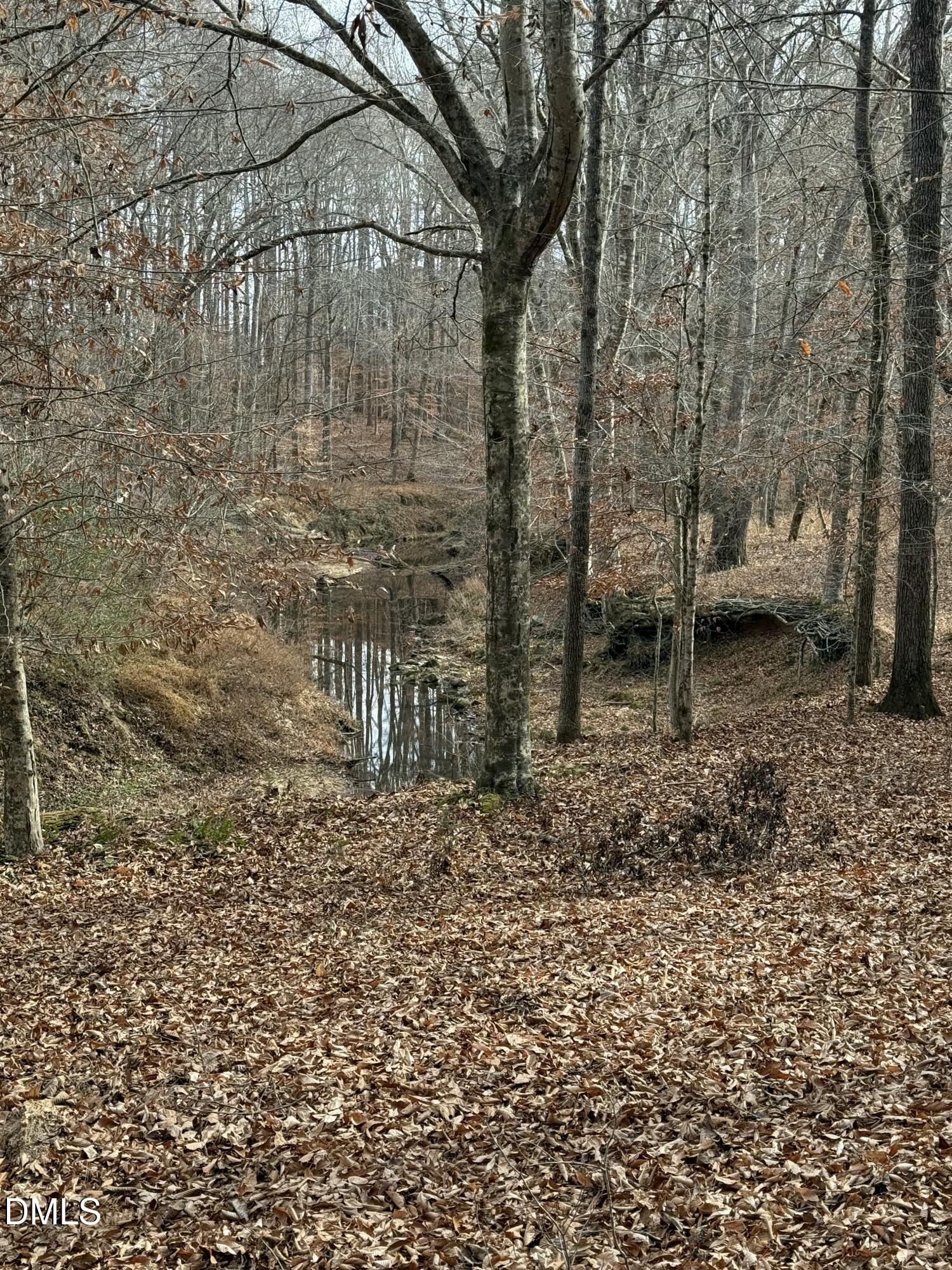 0 Tommie Daniel Road Oxford, NC 27565 - Photo 55 of 72 IMG_2252