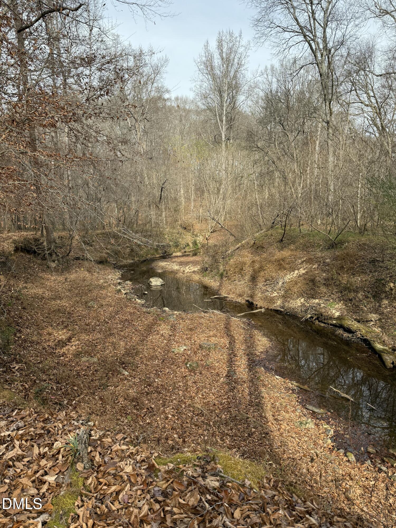 0 Tommie Daniel Road Oxford, NC 27565 - Photo 58 of 72 IMG_2256