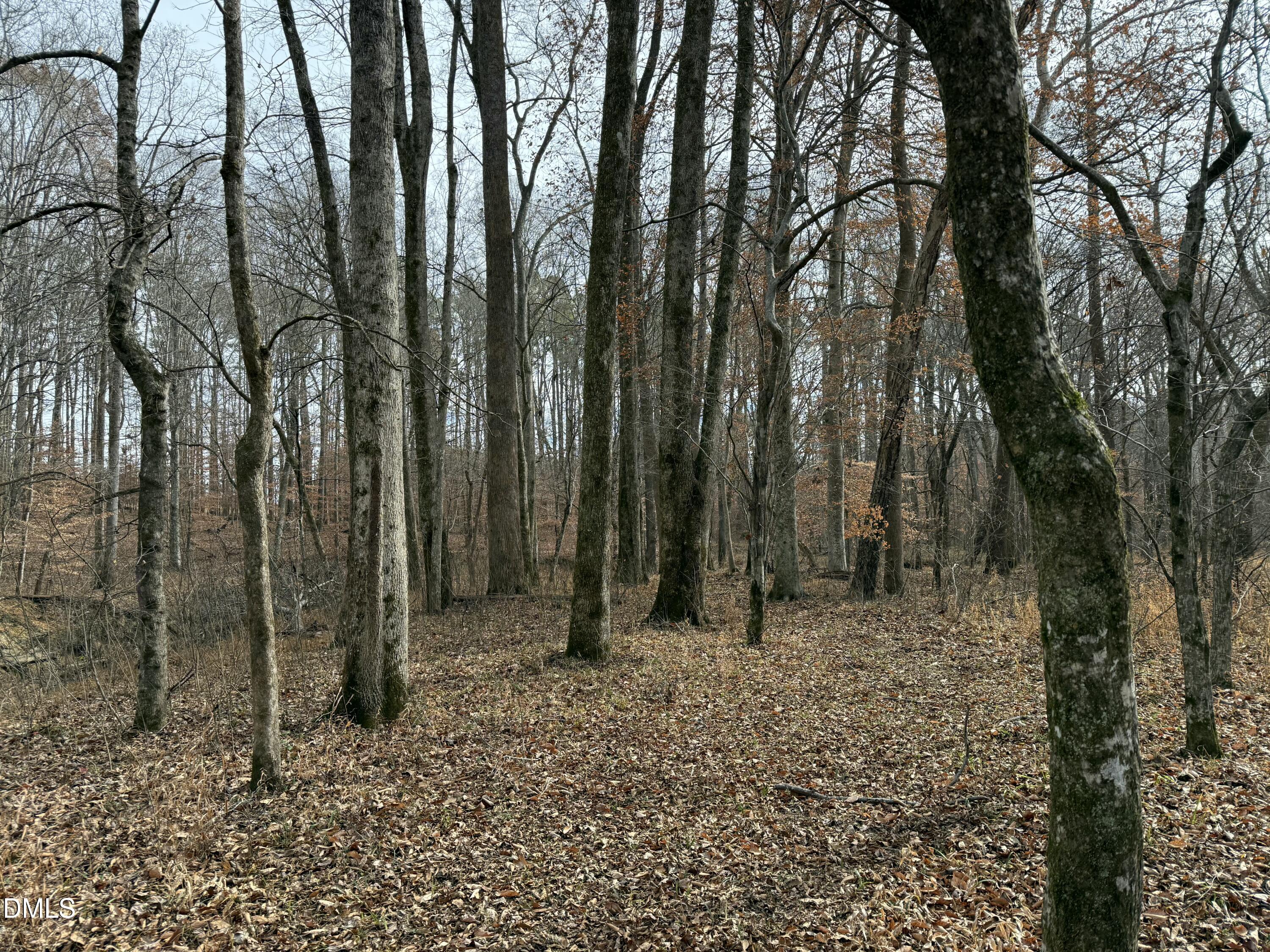 0 Tommie Daniel Road Oxford, NC 27565 - Photo 62 of 72 a backyard of a house with lots of trees