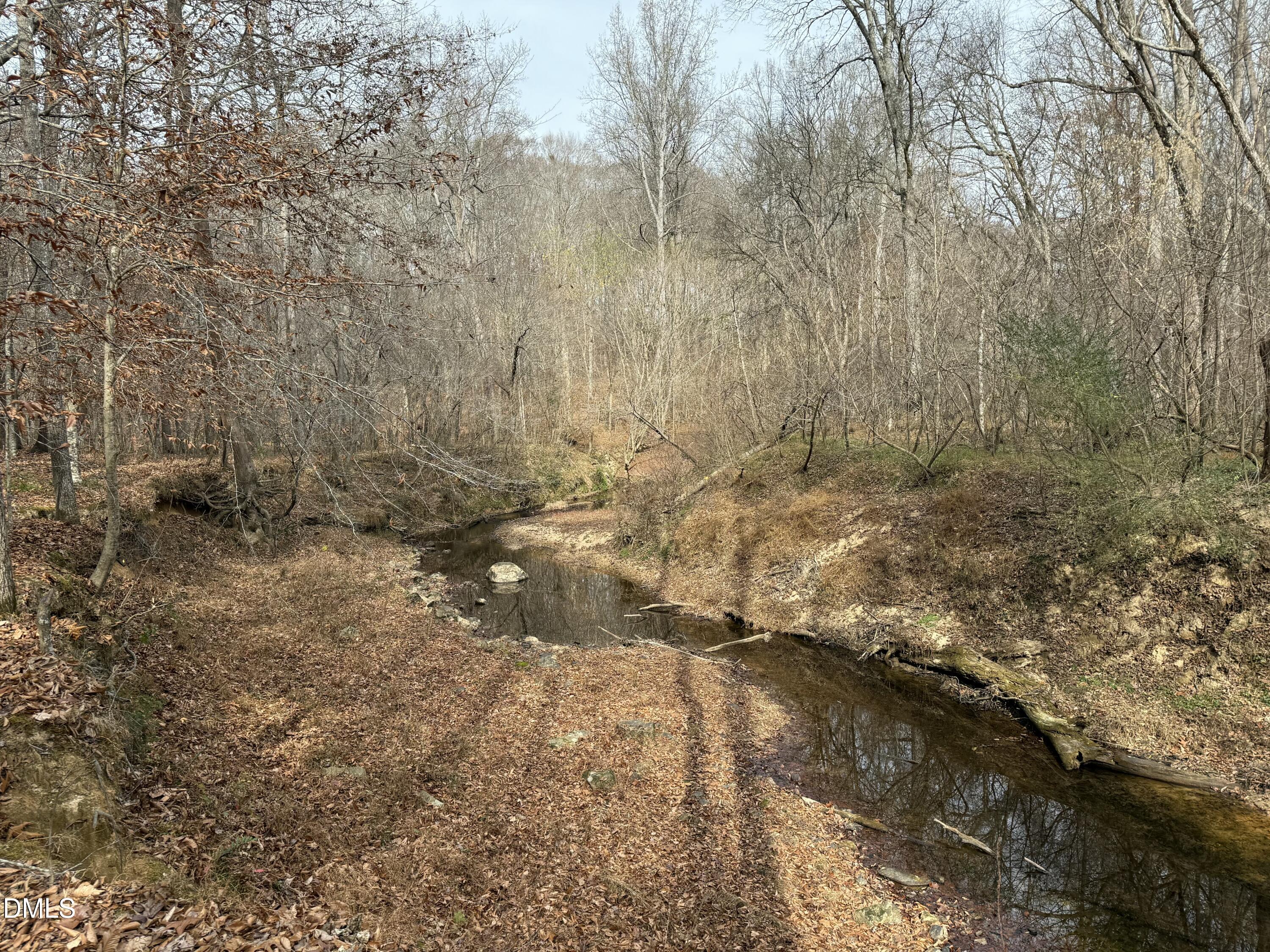 0 Tommie Daniel Road Oxford, NC 27565 - Photo 63 of 72 a view of a yard