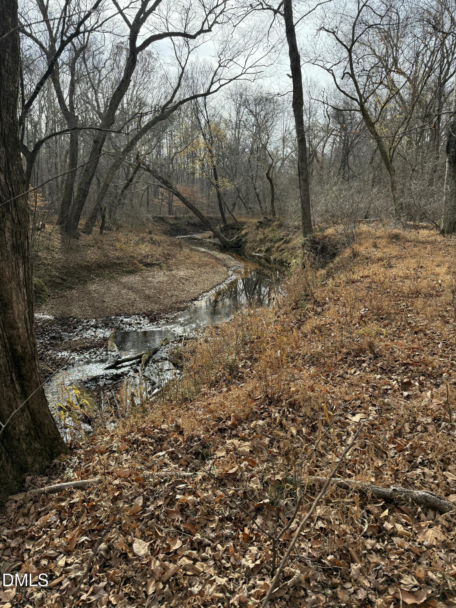 0 Tommie Daniel Road Oxford, NC 27565 - Photo 64 of 72 a view of a yard with trees