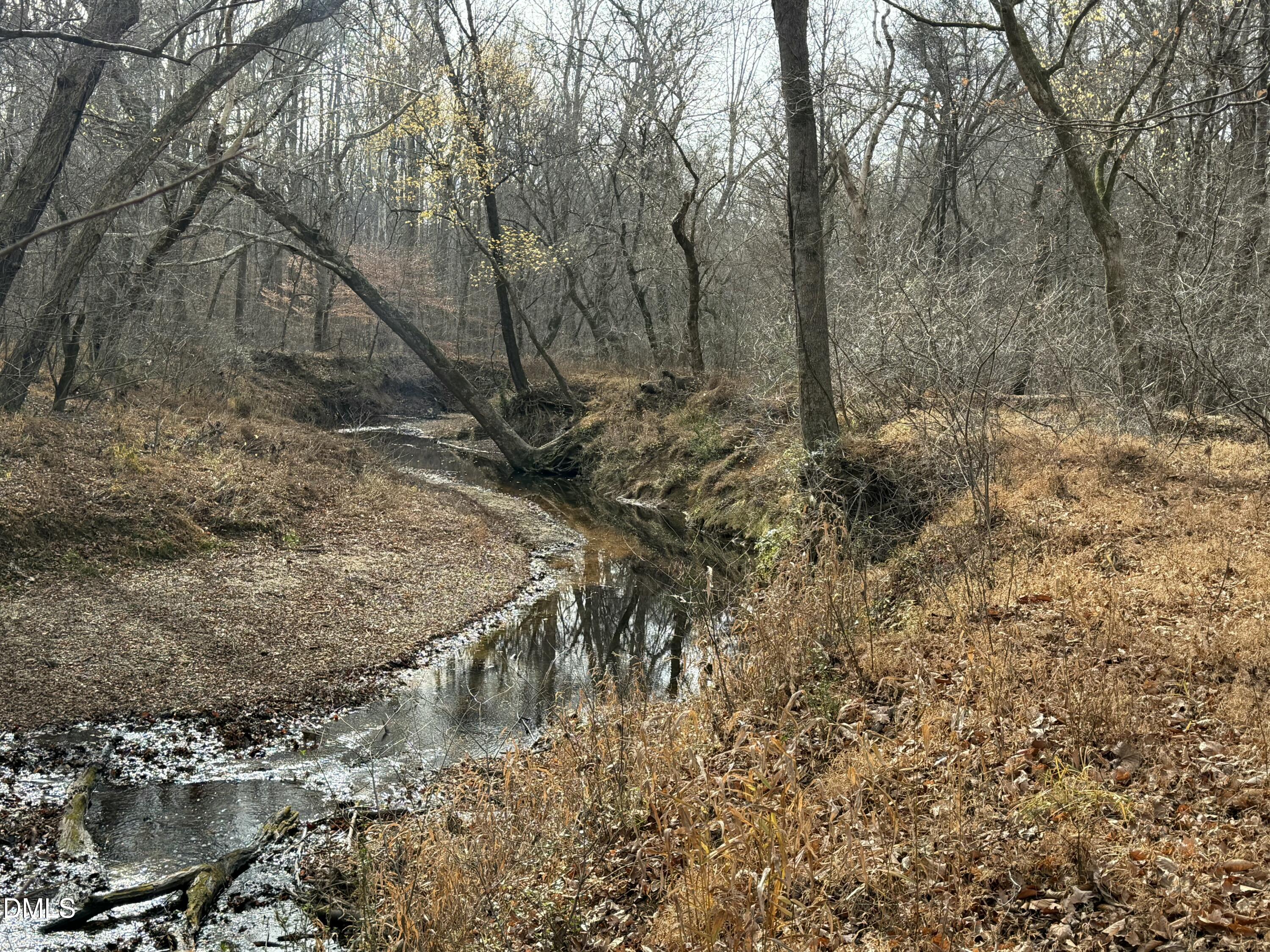 0 Tommie Daniel Road Oxford, NC 27565 - Photo 65 of 72 a view of a yard with trees