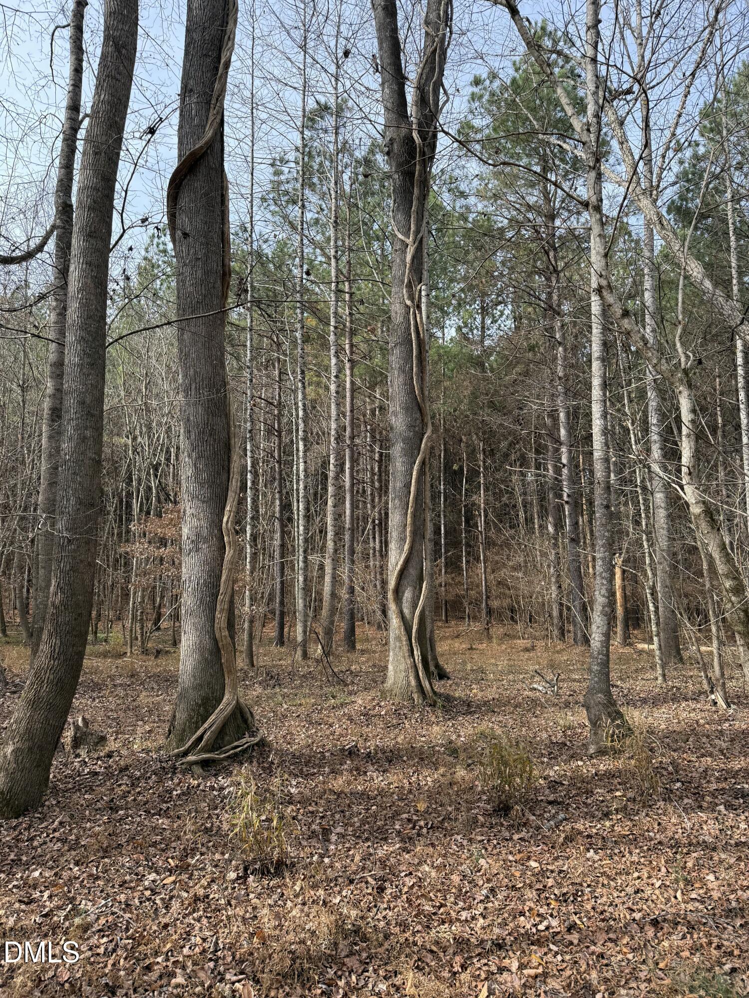 0 Tommie Daniel Road Oxford, NC 27565 - Photo 66 of 72 IMG_2264