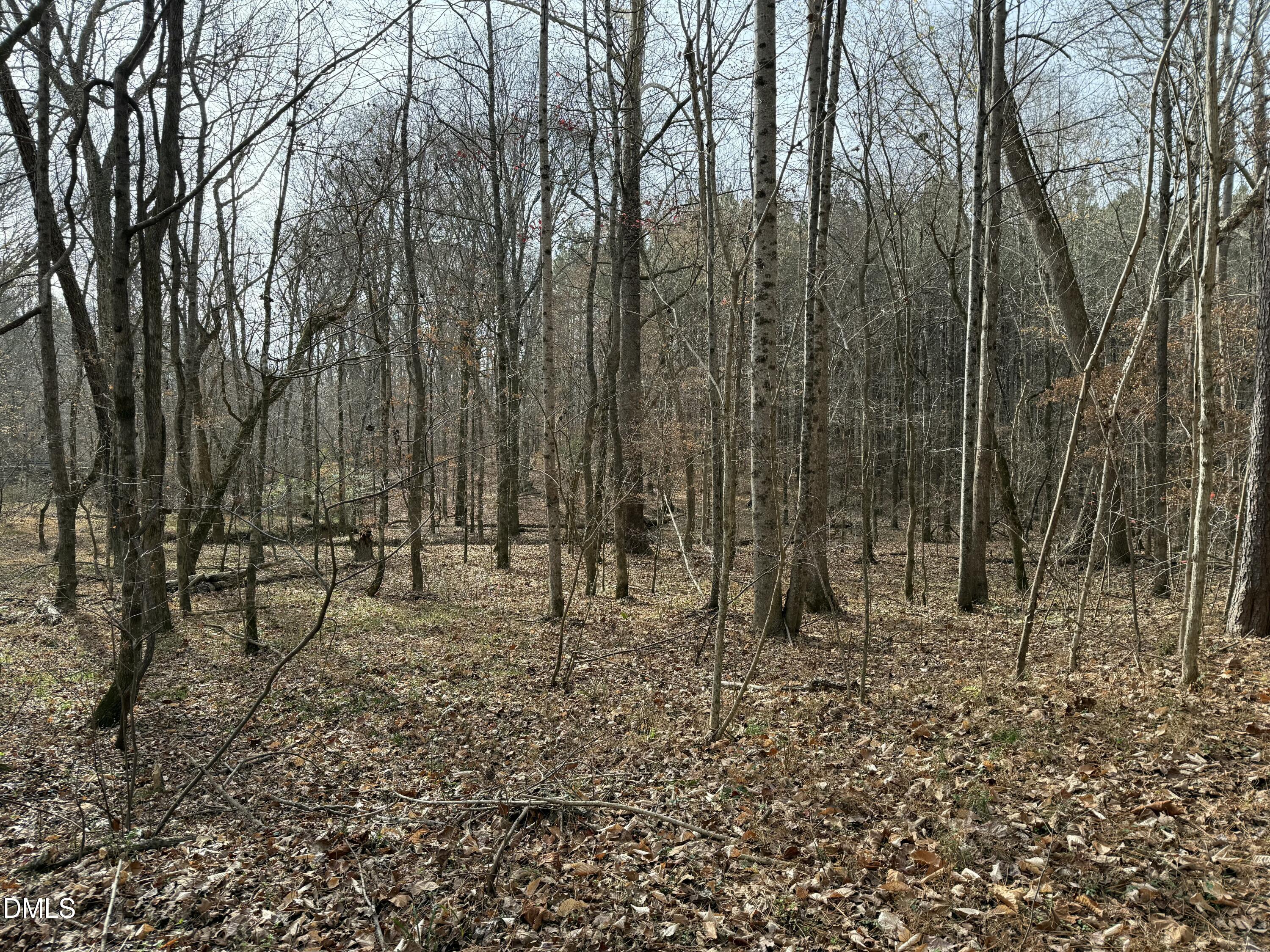 0 Tommie Daniel Road Oxford, NC 27565 - Photo 67 of 72 a view of outdoor space with lots of trees