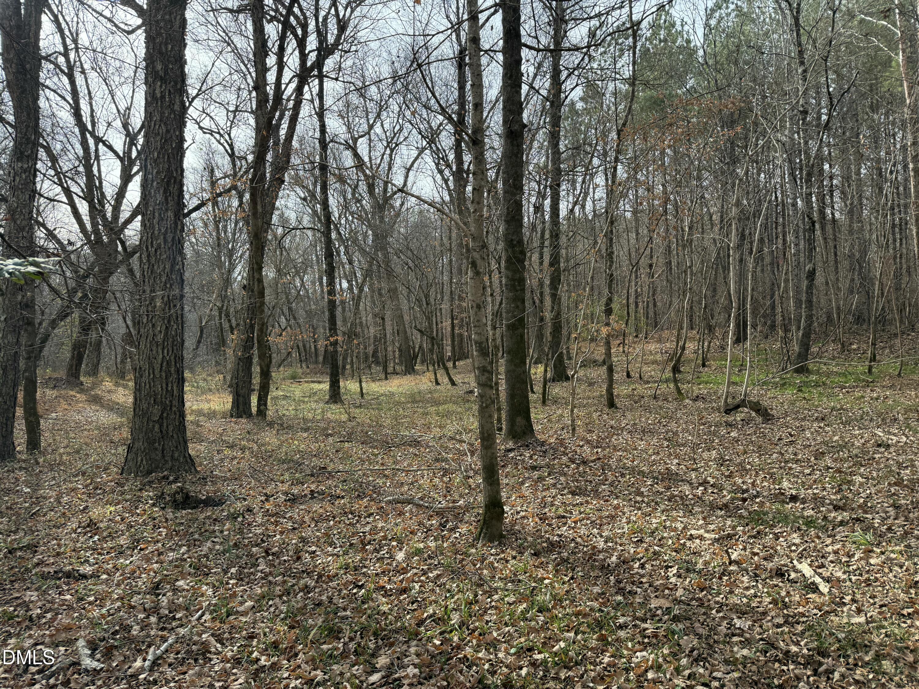 0 Tommie Daniel Road Oxford, NC 27565 - Photo 68 of 72 a view of outdoor space with trees
