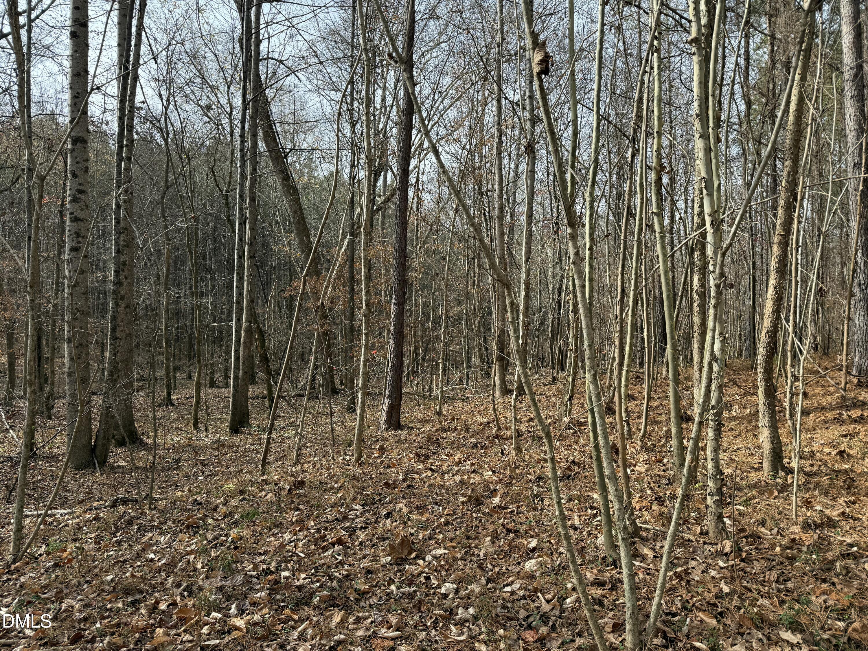 0 Tommie Daniel Road Oxford, NC 27565 - Photo 69 of 72 IMG_2267