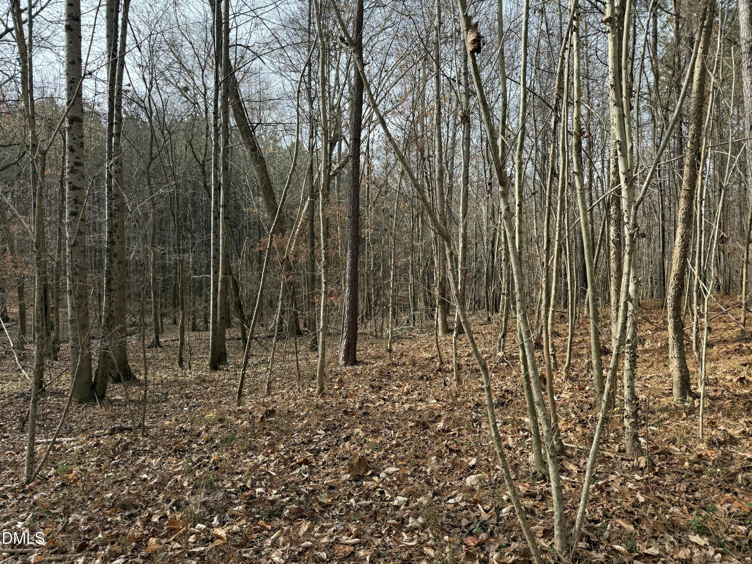 0 Tommie Daniel Road Oxford, NC 27565 - Photo 70 of 72 IMG_2268