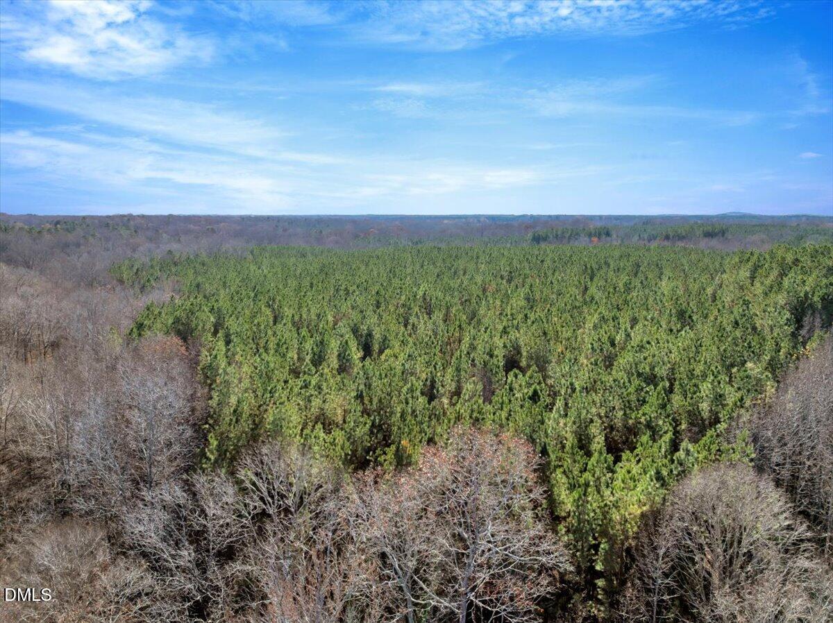 0 Tommie Daniel Road Oxford, NC 27565 - Photo 8 of 72 a view of a green field with lots of bushes