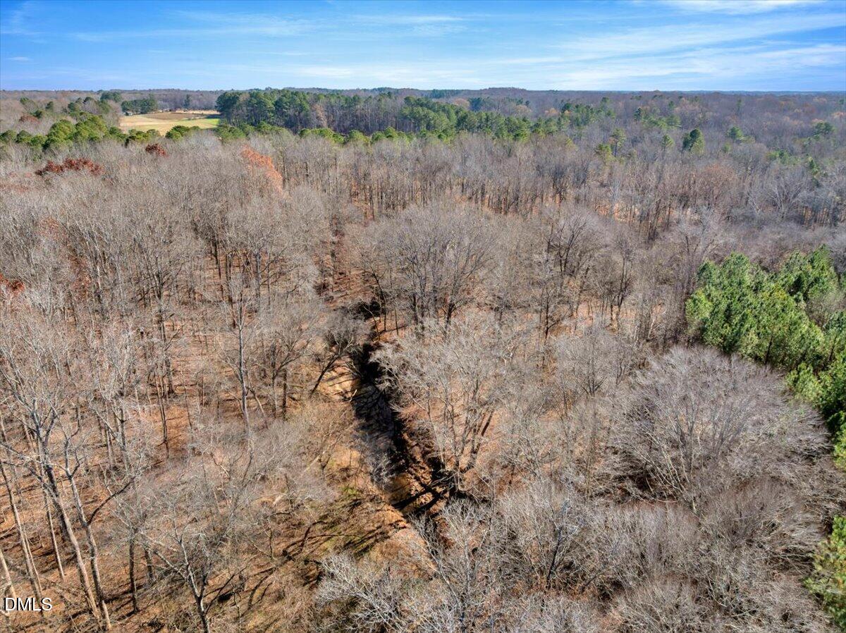 0 Tommie Daniel Road Oxford, NC 27565 - Photo 9 of 72 a view of a dry field with trees in background