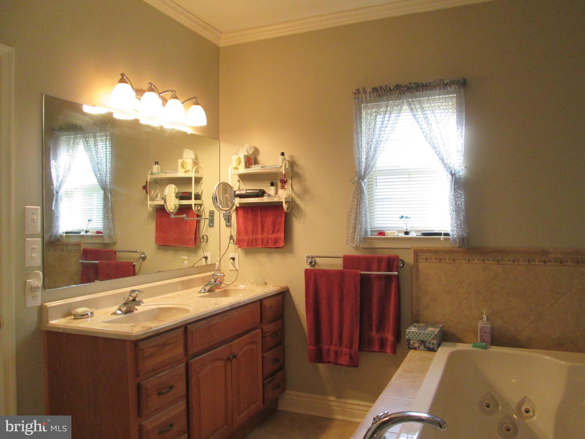 412 Colts Run Road Williamstown, NJ 08094 - Photo 16 of 45 Master Bath