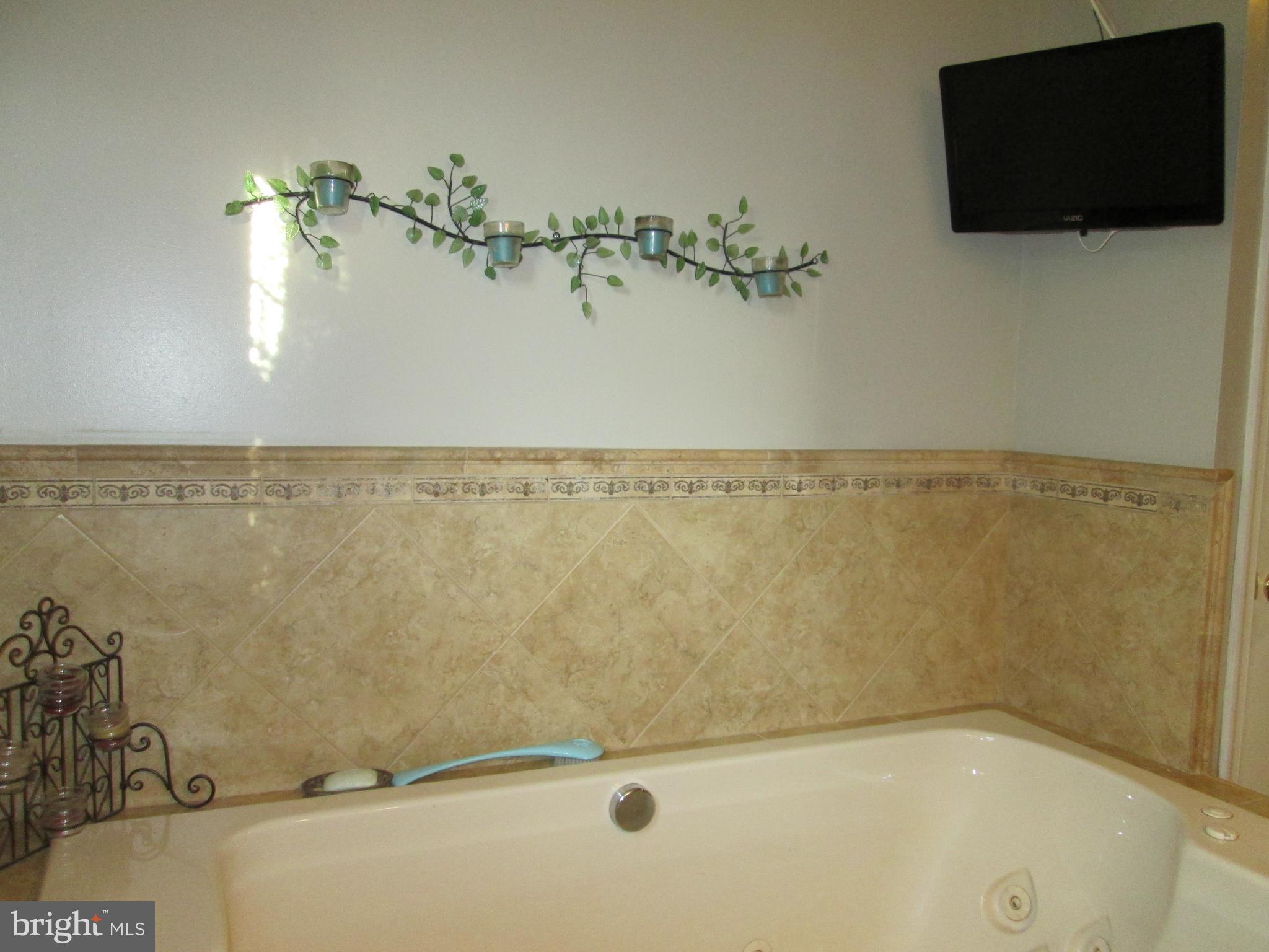 412 Colts Run Road Williamstown, NJ 08094 - Photo 17 of 45 Master Bath