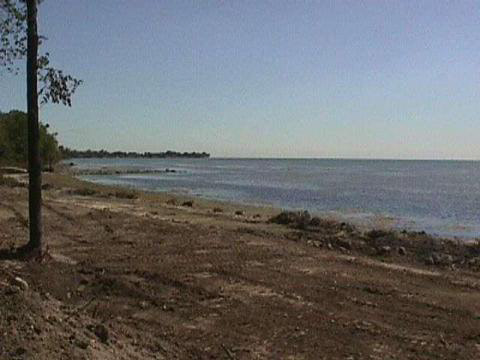 Burke Road Newport, MI 48166 - Photo 1 of 9 906784.JPG