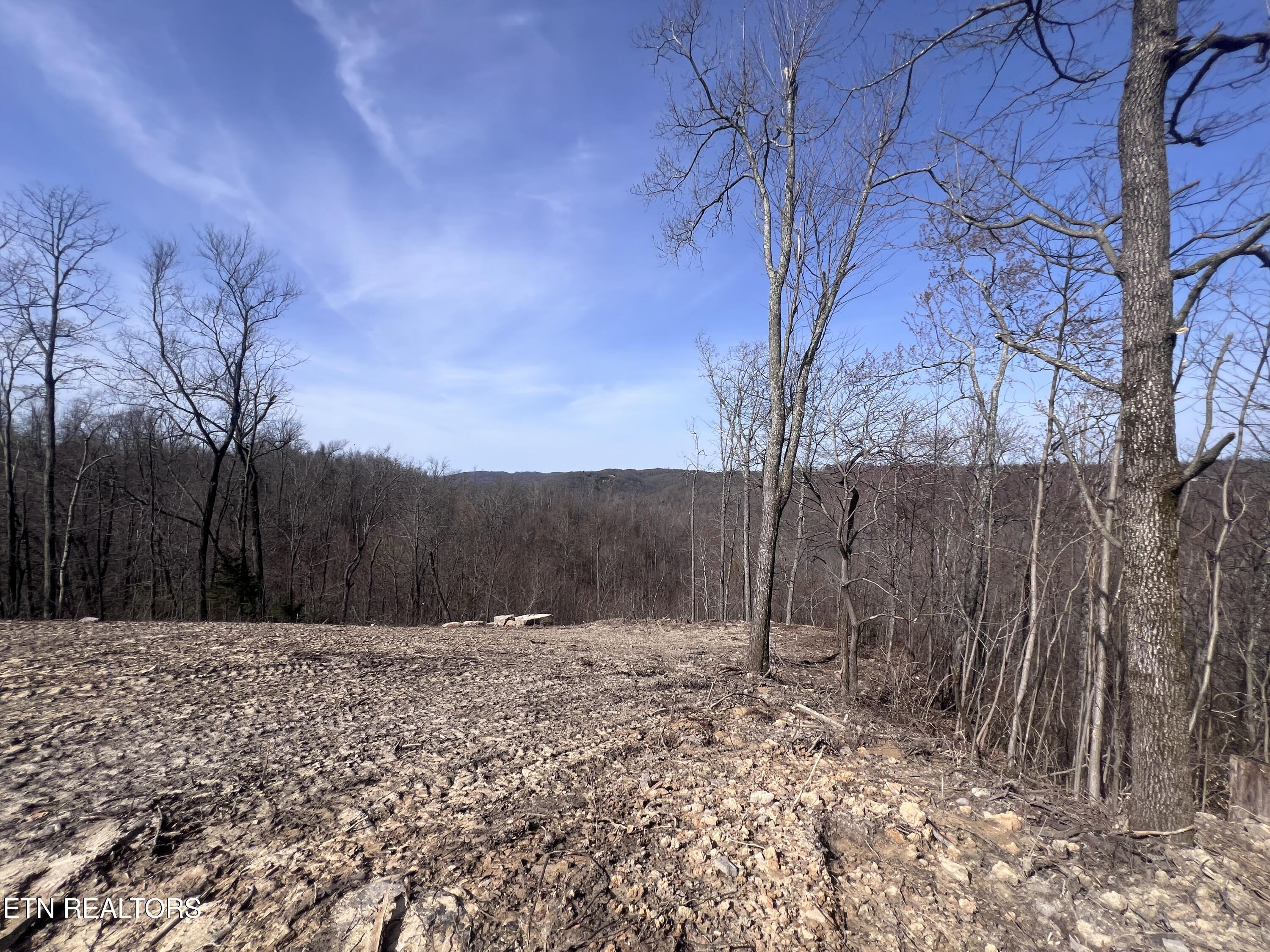 4575 Upper Crab Road Jamestown, TN 38556 - Photo 11 of 27 IMG_7107