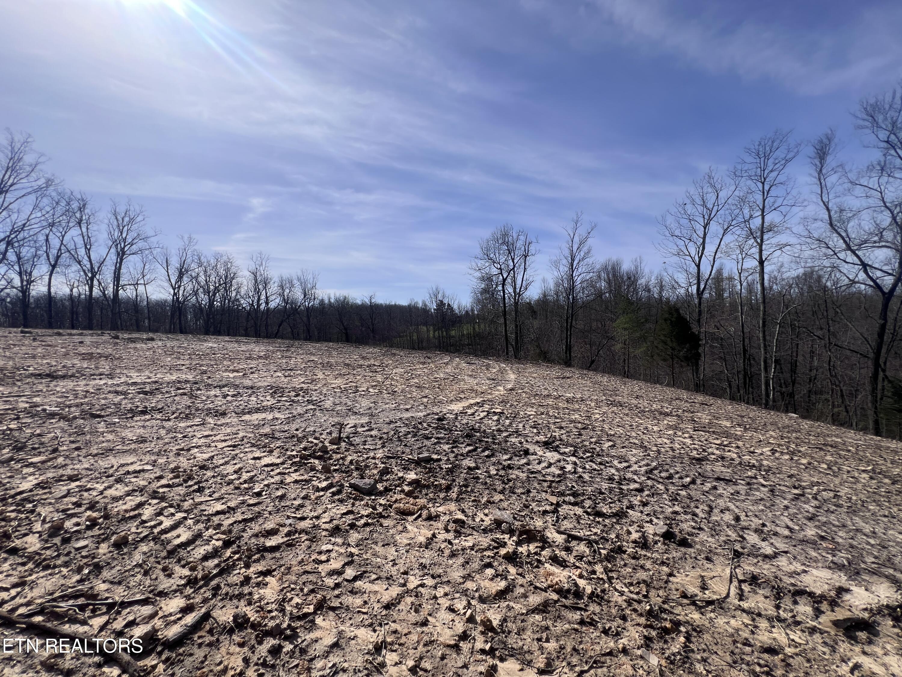 4575 Upper Crab Road Jamestown, TN 38556 - Photo 12 of 27 IMG_7108