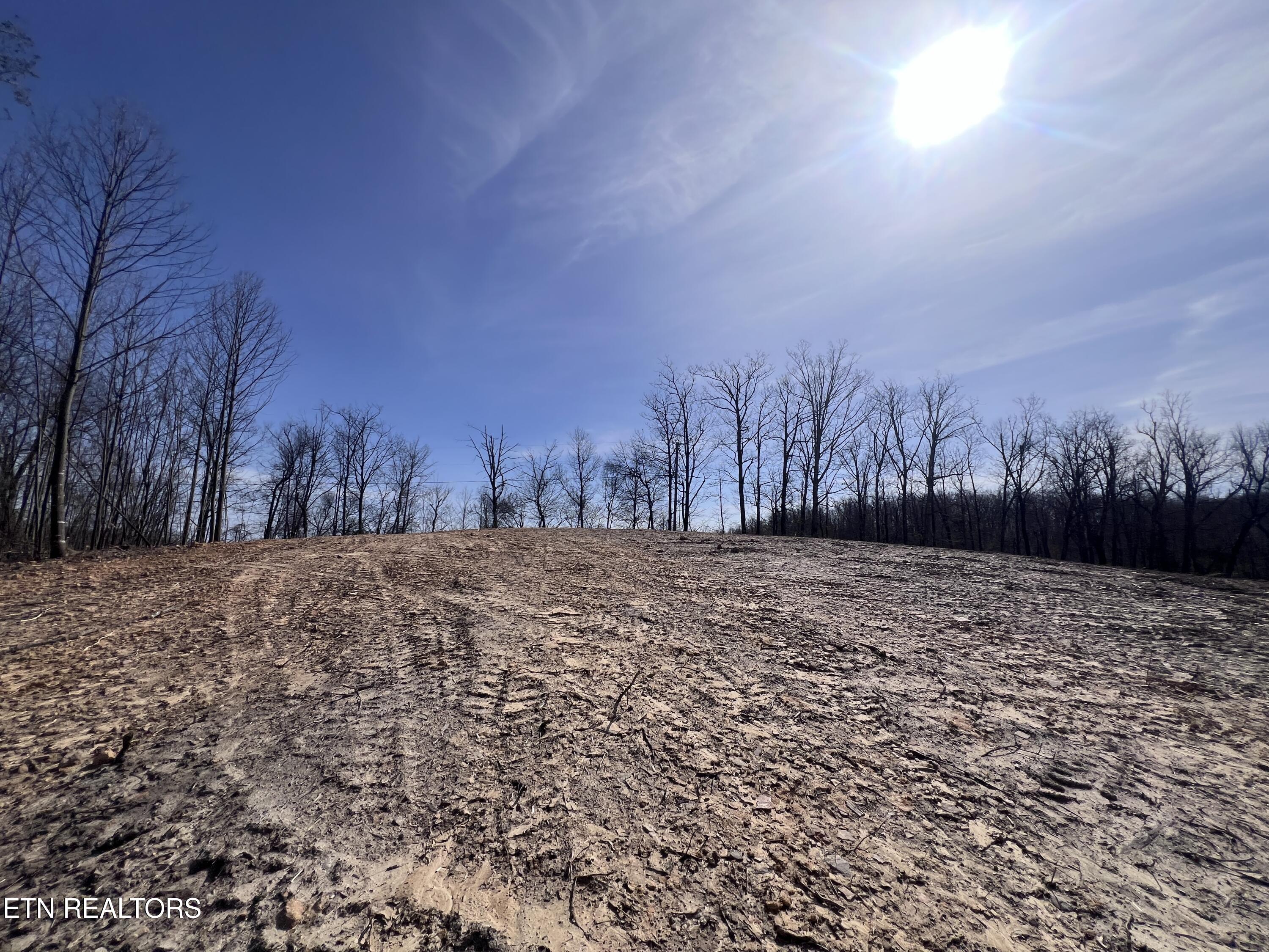 4575 Upper Crab Road Jamestown, TN 38556 - Photo 14 of 27 IMG_7110