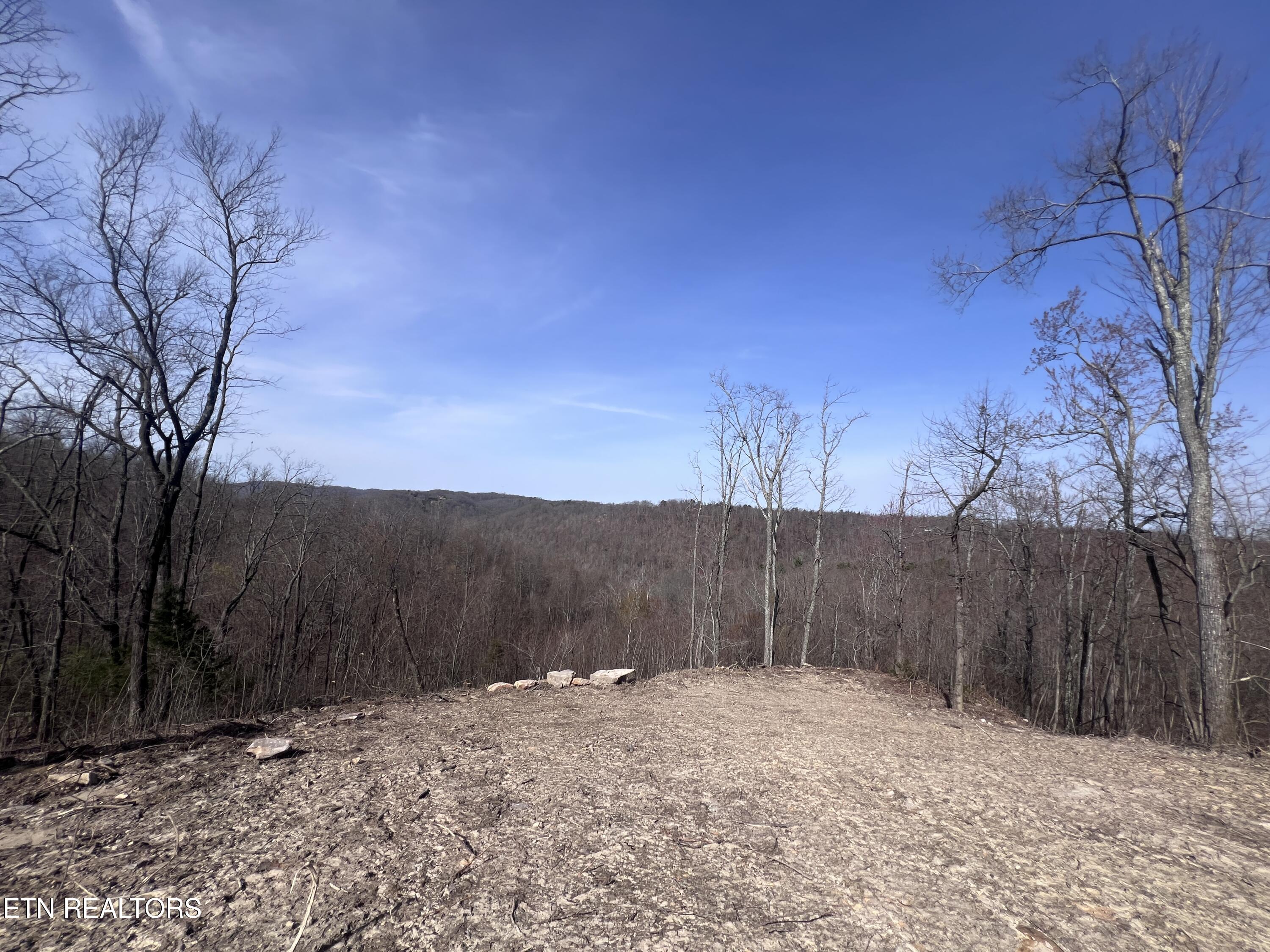 4575 Upper Crab Road Jamestown, TN 38556 - Photo 15 of 27 IMG_7111