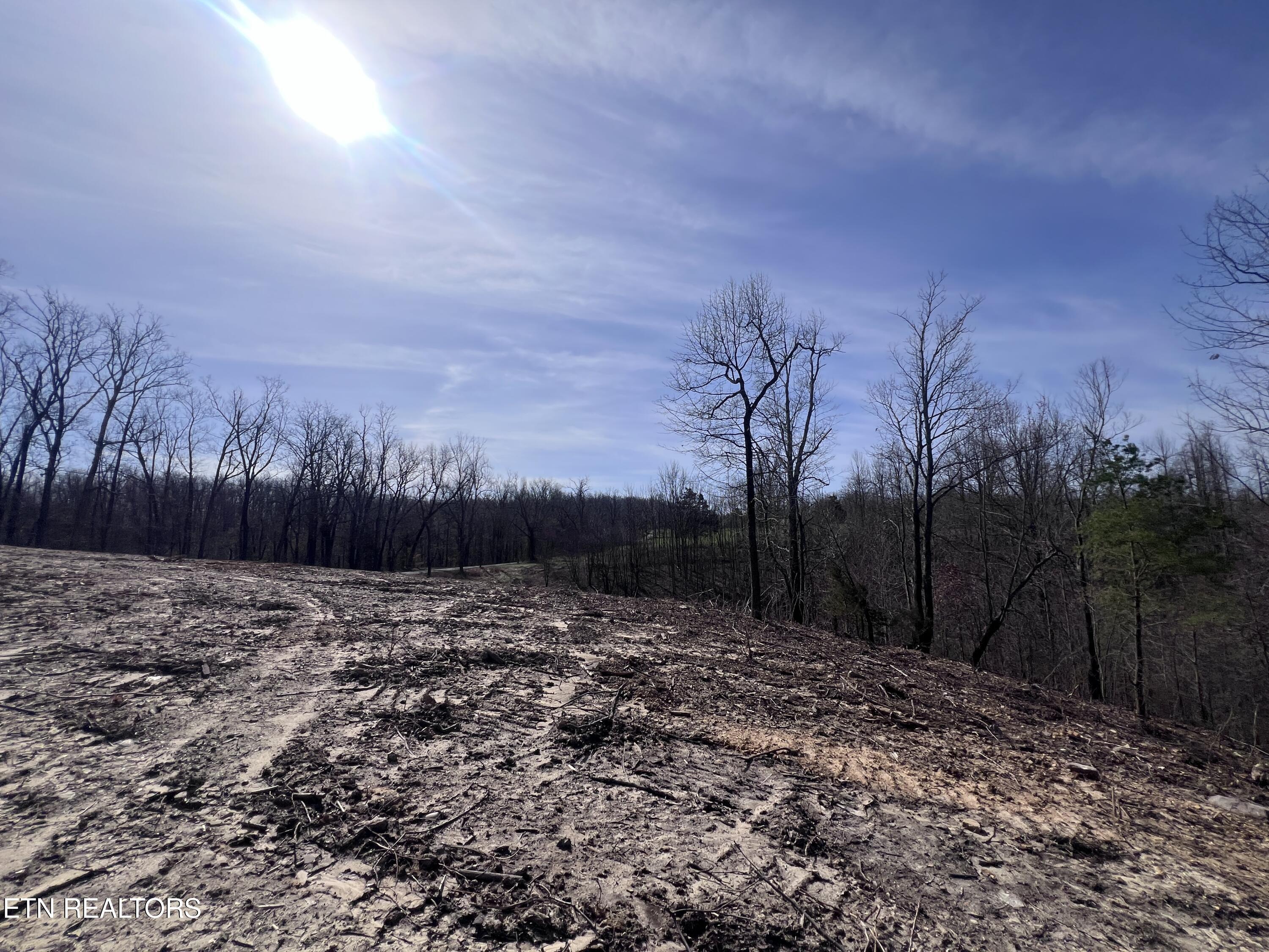 4575 Upper Crab Road Jamestown, TN 38556 - Photo 16 of 27 IMG_7113