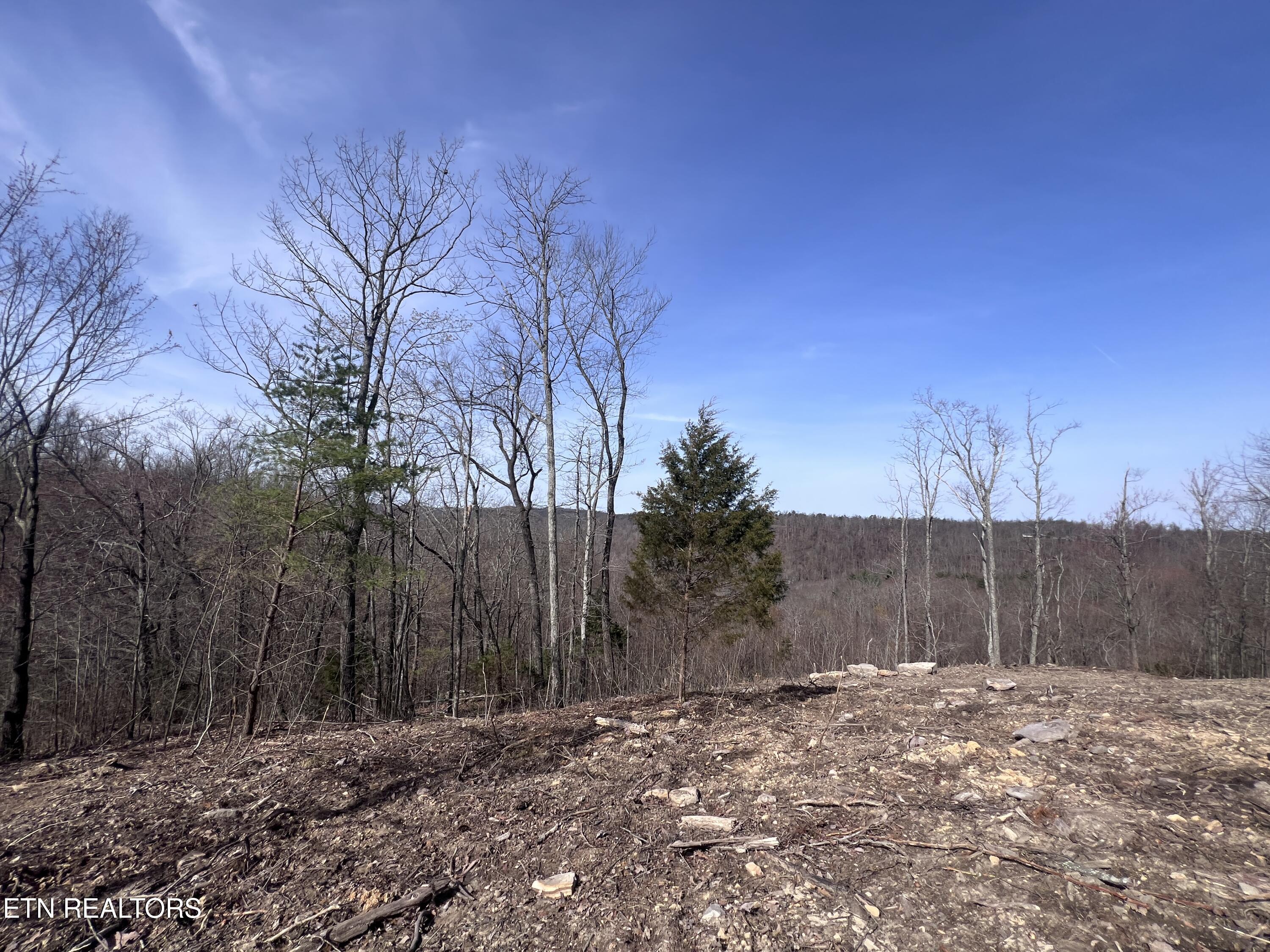 4575 Upper Crab Road Jamestown, TN 38556 - Photo 17 of 27 IMG_7114