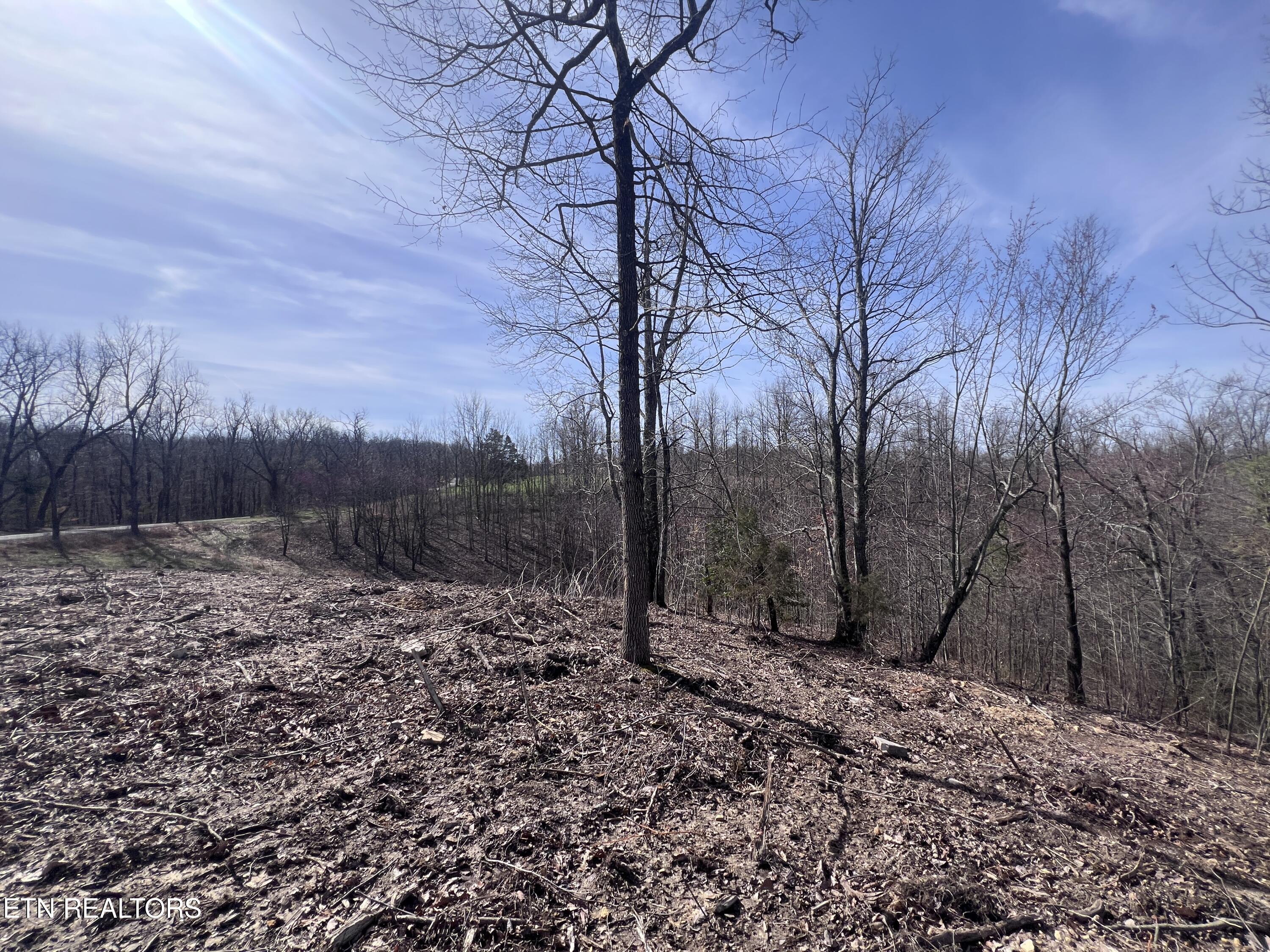 4575 Upper Crab Road Jamestown, TN 38556 - Photo 18 of 27 IMG_7115