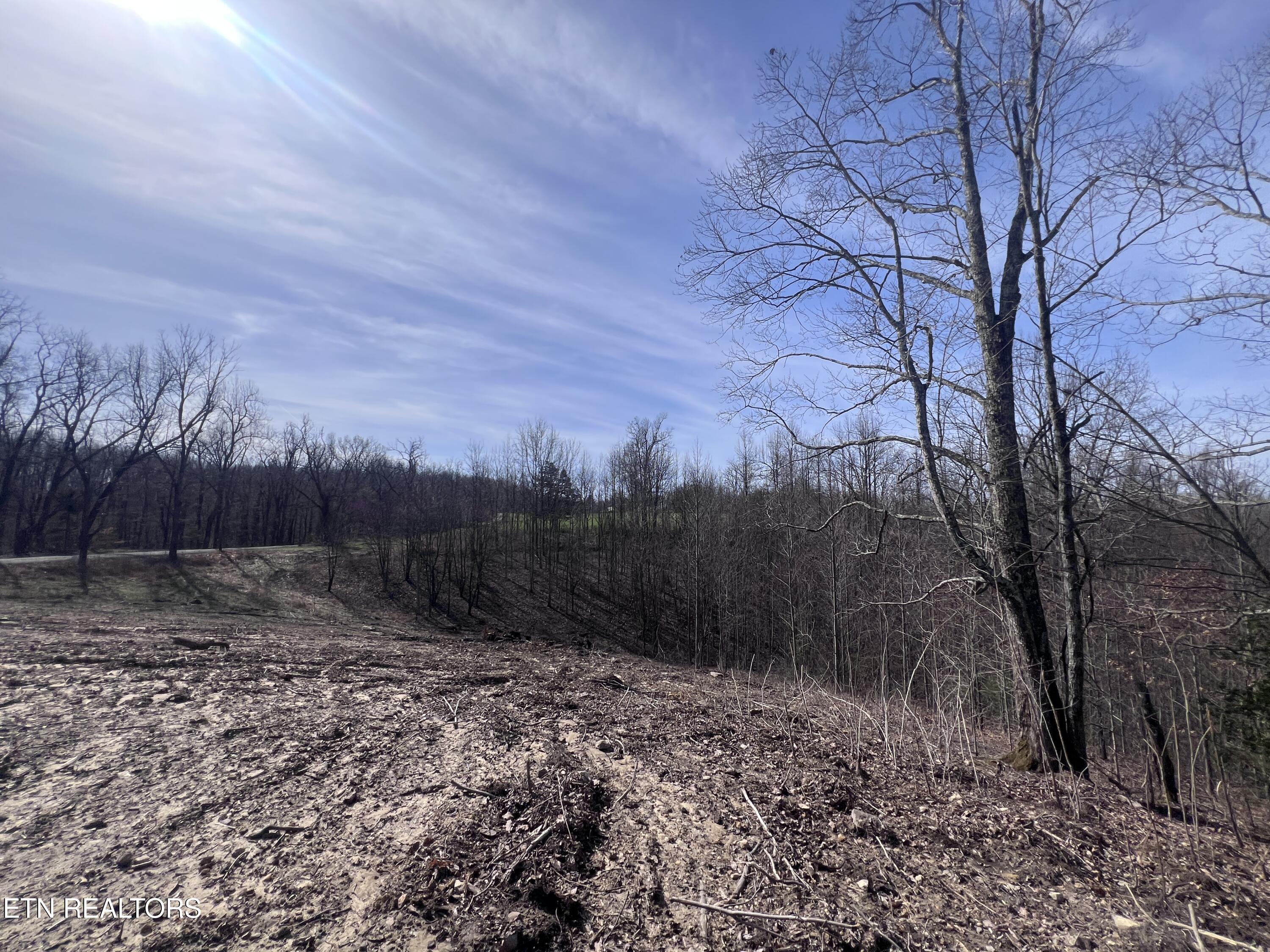 4575 Upper Crab Road Jamestown, TN 38556 - Photo 19 of 27 IMG_7116