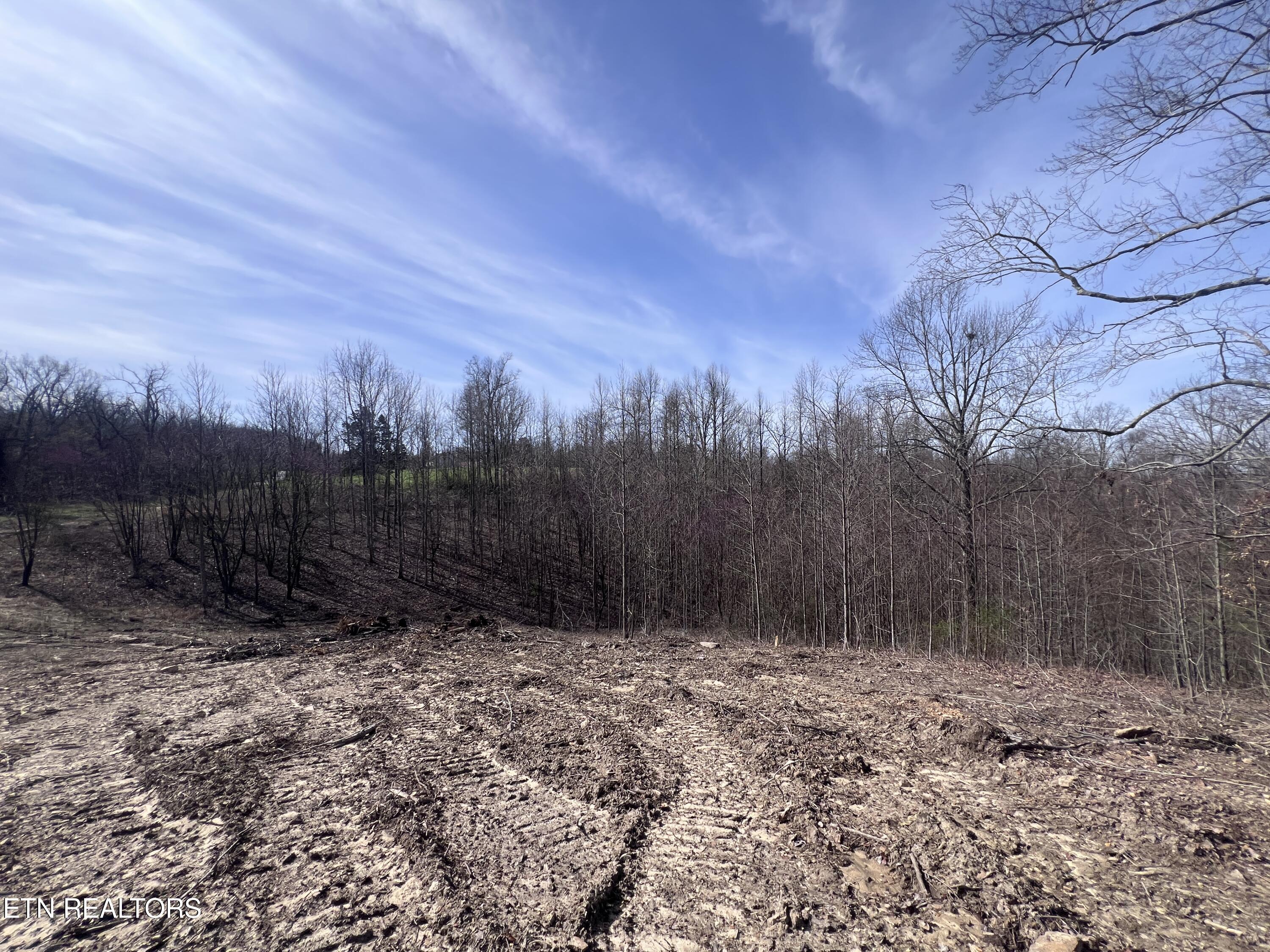 4575 Upper Crab Road Jamestown, TN 38556 - Photo 20 of 27 IMG_7117