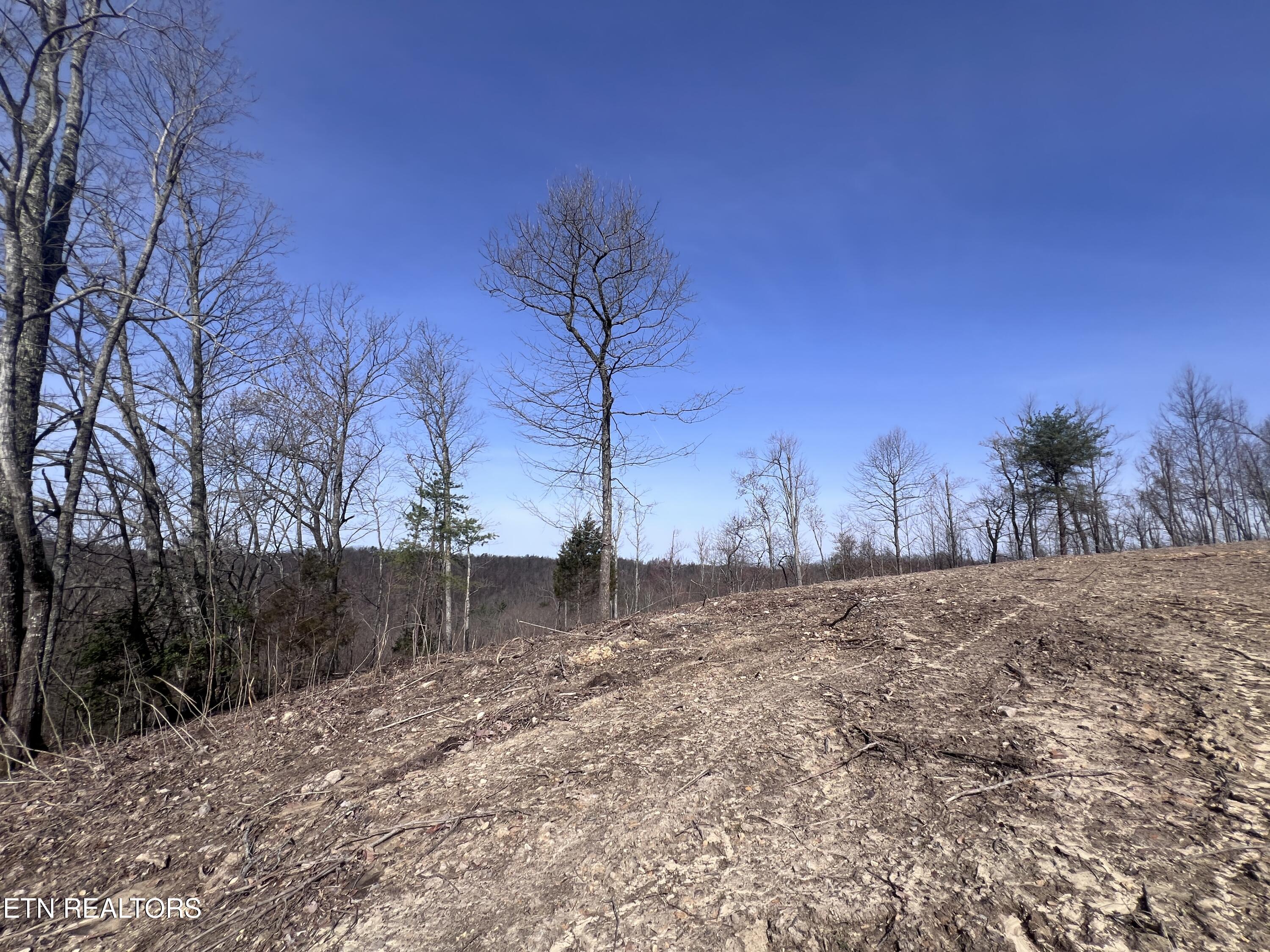 4575 Upper Crab Road Jamestown, TN 38556 - Photo 21 of 27 IMG_7118