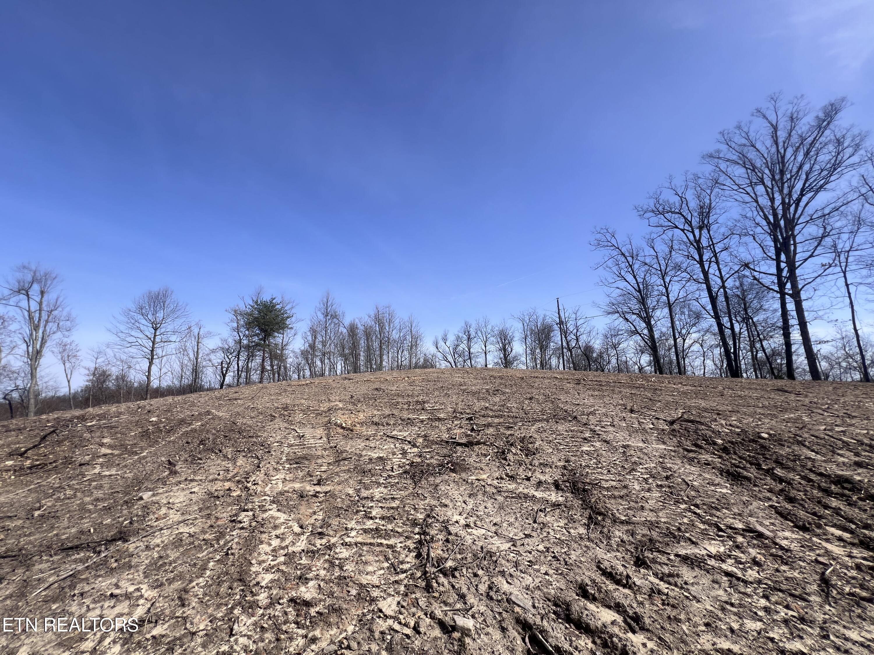 4575 Upper Crab Road Jamestown, TN 38556 - Photo 22 of 27 IMG_7119