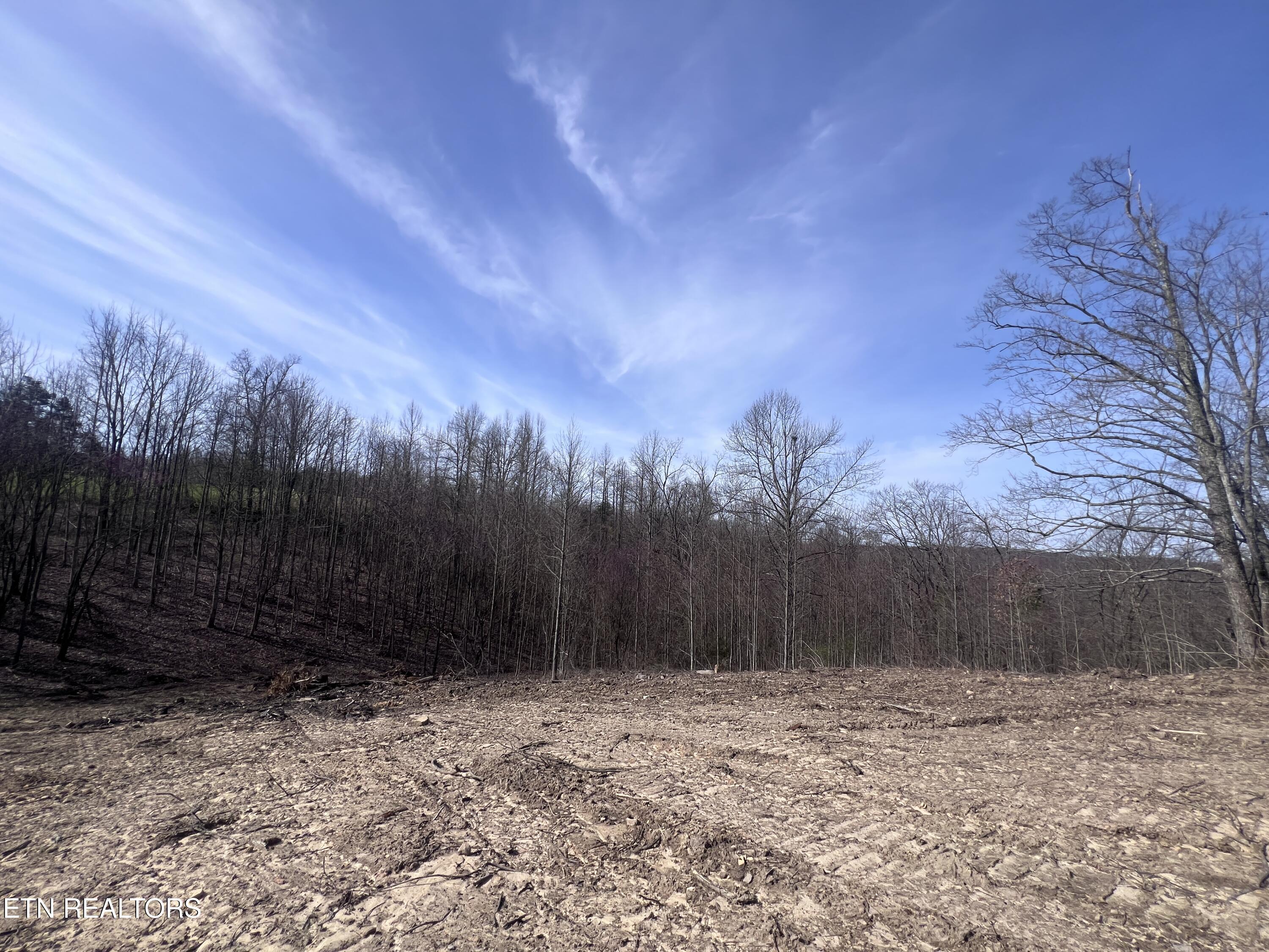 4575 Upper Crab Road Jamestown, TN 38556 - Photo 24 of 27 IMG_7121