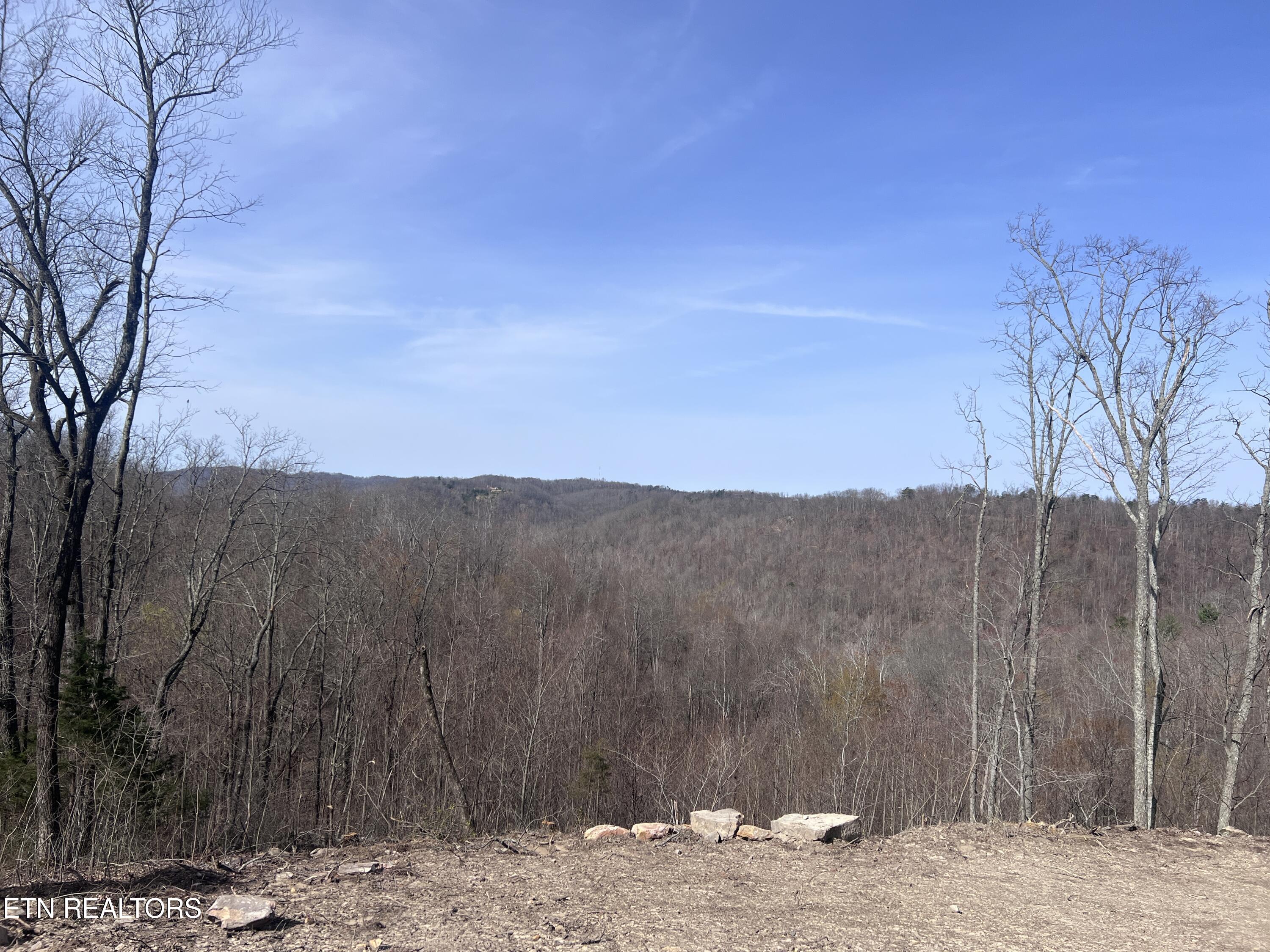 4575 Upper Crab Road Jamestown, TN 38556 - Photo 25 of 27 IMG_7112