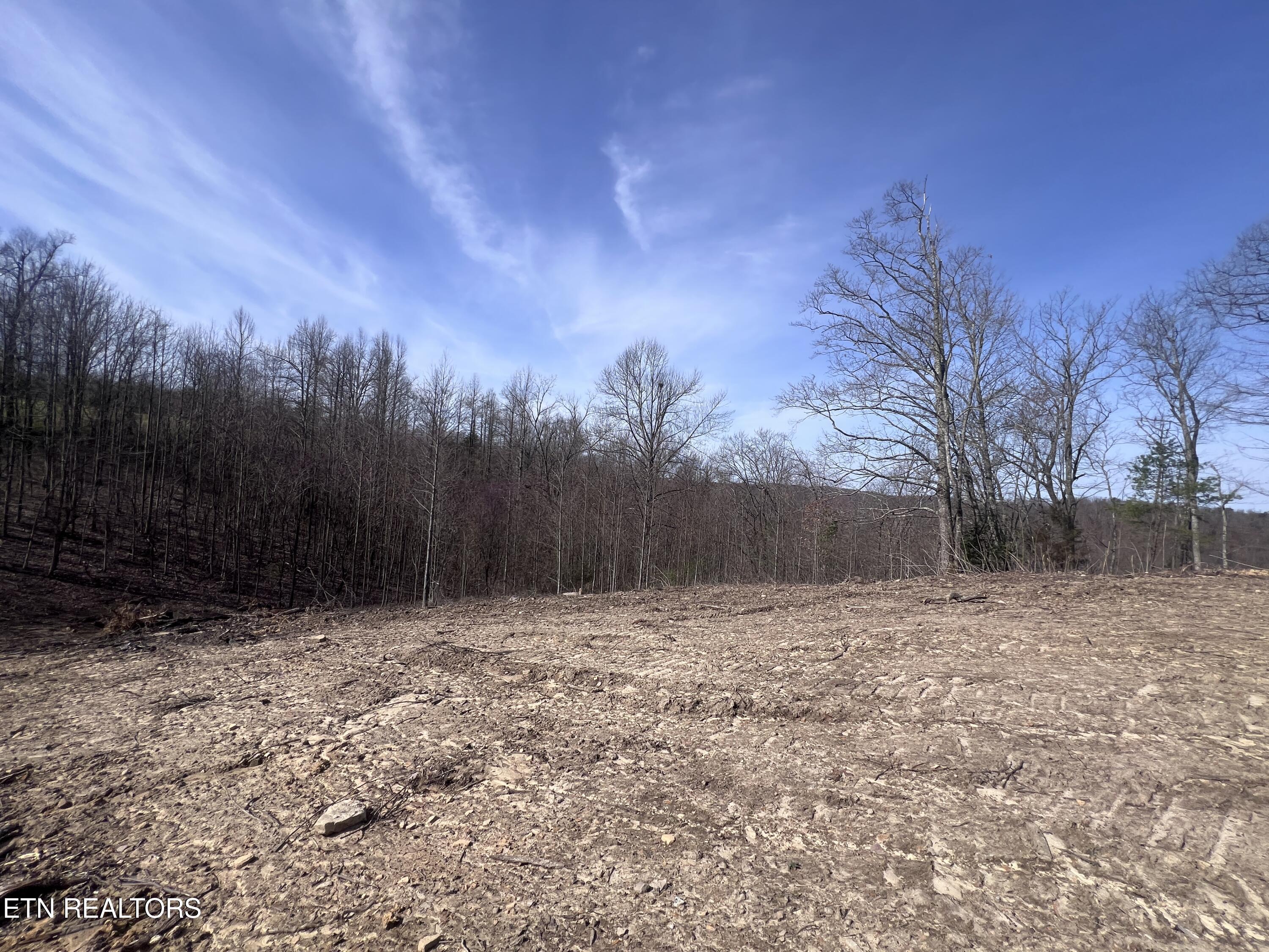 4575 Upper Crab Road Jamestown, TN 38556 - Photo 3 of 27 IMG_7099