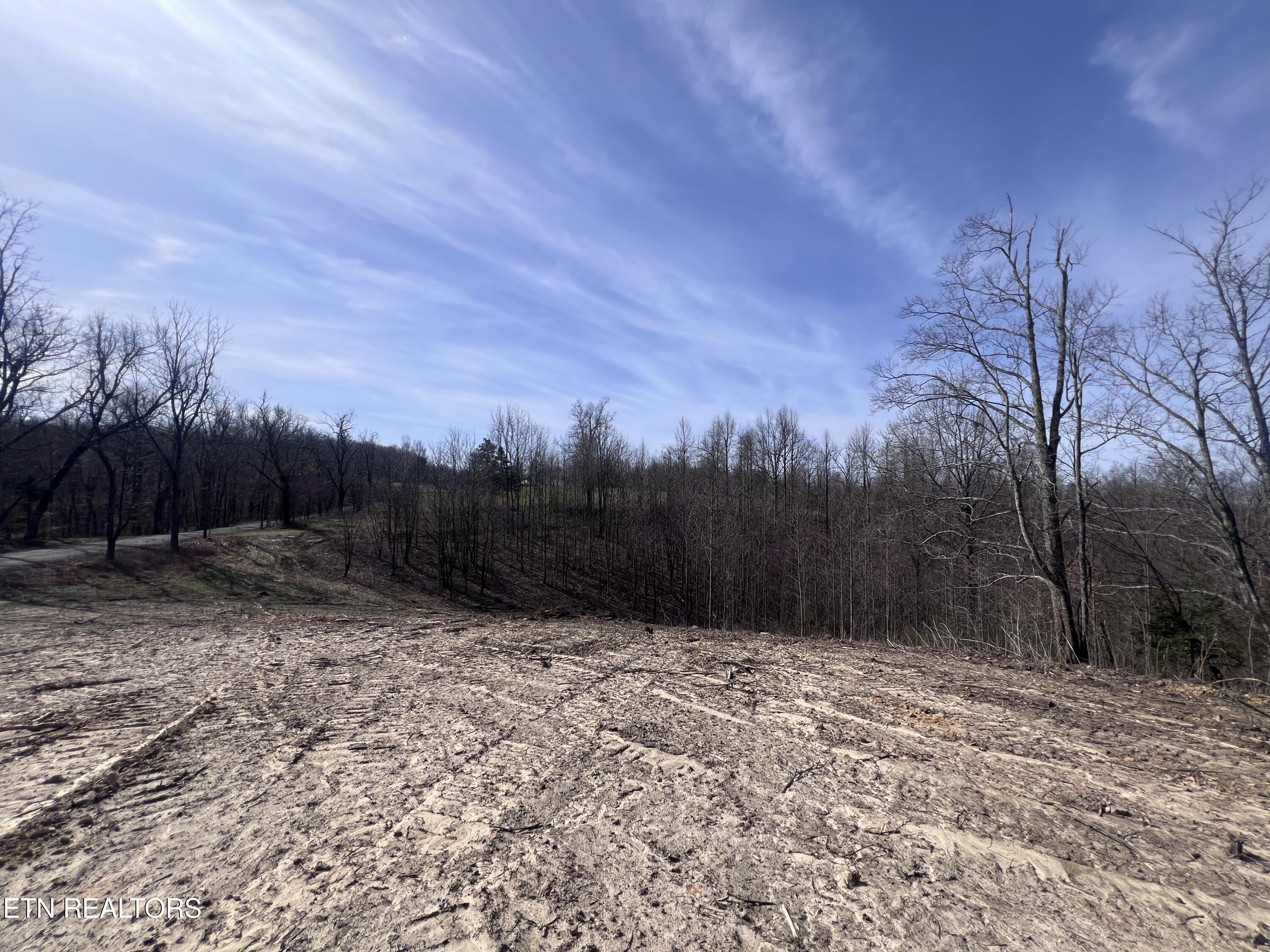 4575 Upper Crab Road Jamestown, TN 38556 - Photo 4 of 27 IMG_7101