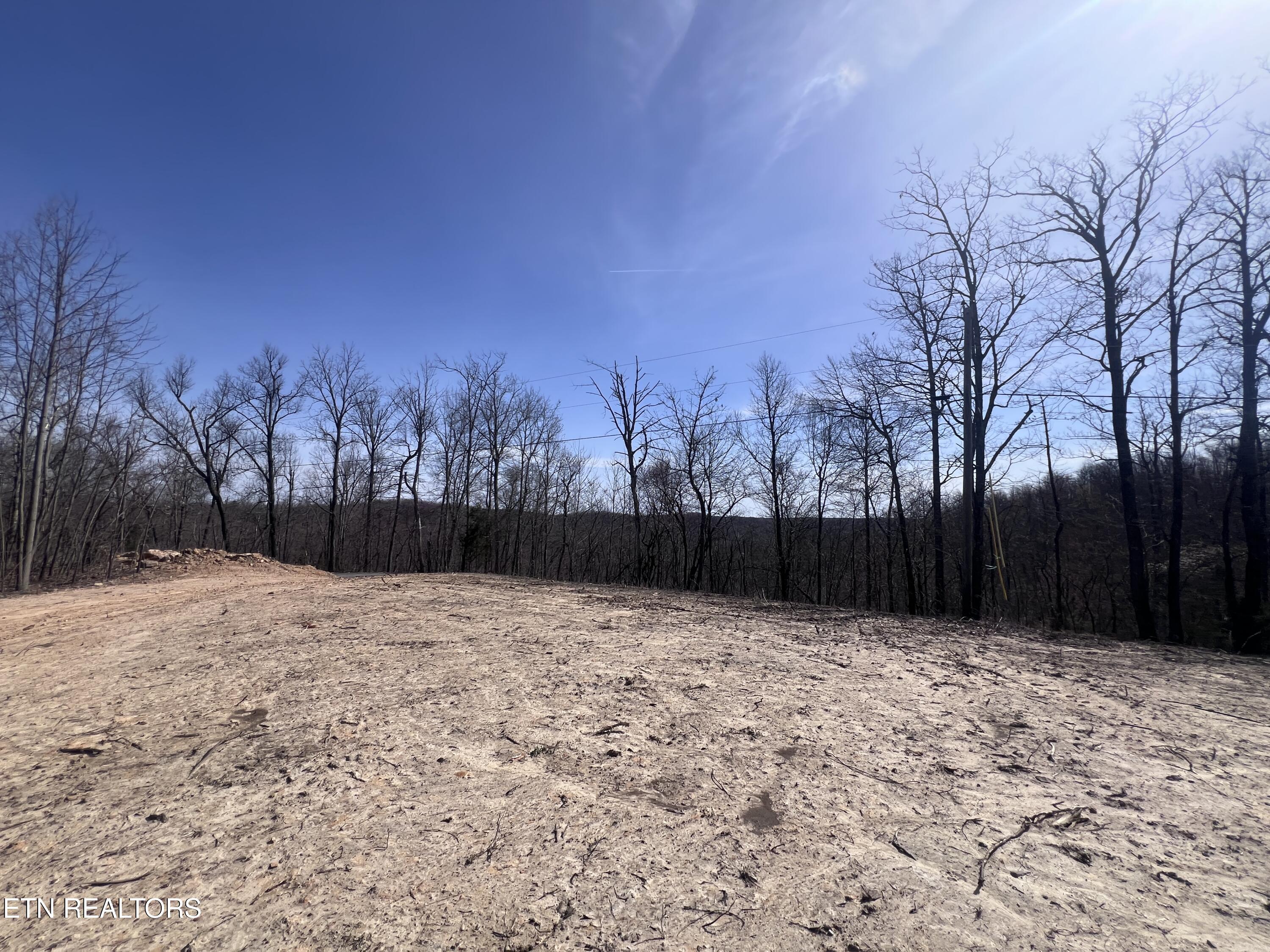 4575 Upper Crab Road Jamestown, TN 38556 - Photo 5 of 27 IMG_7102