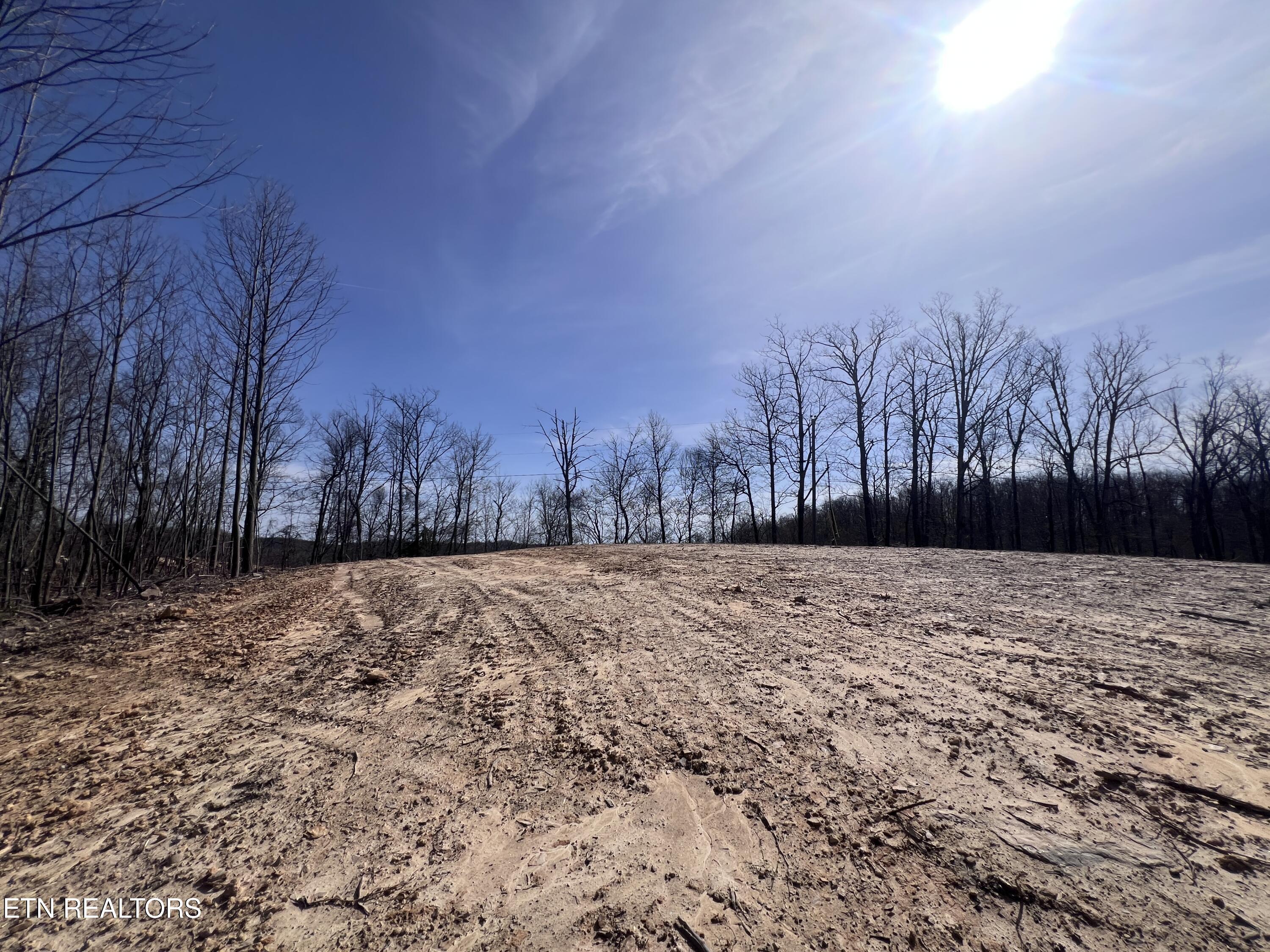 4575 Upper Crab Road Jamestown, TN 38556 - Photo 8 of 27 IMG_7106