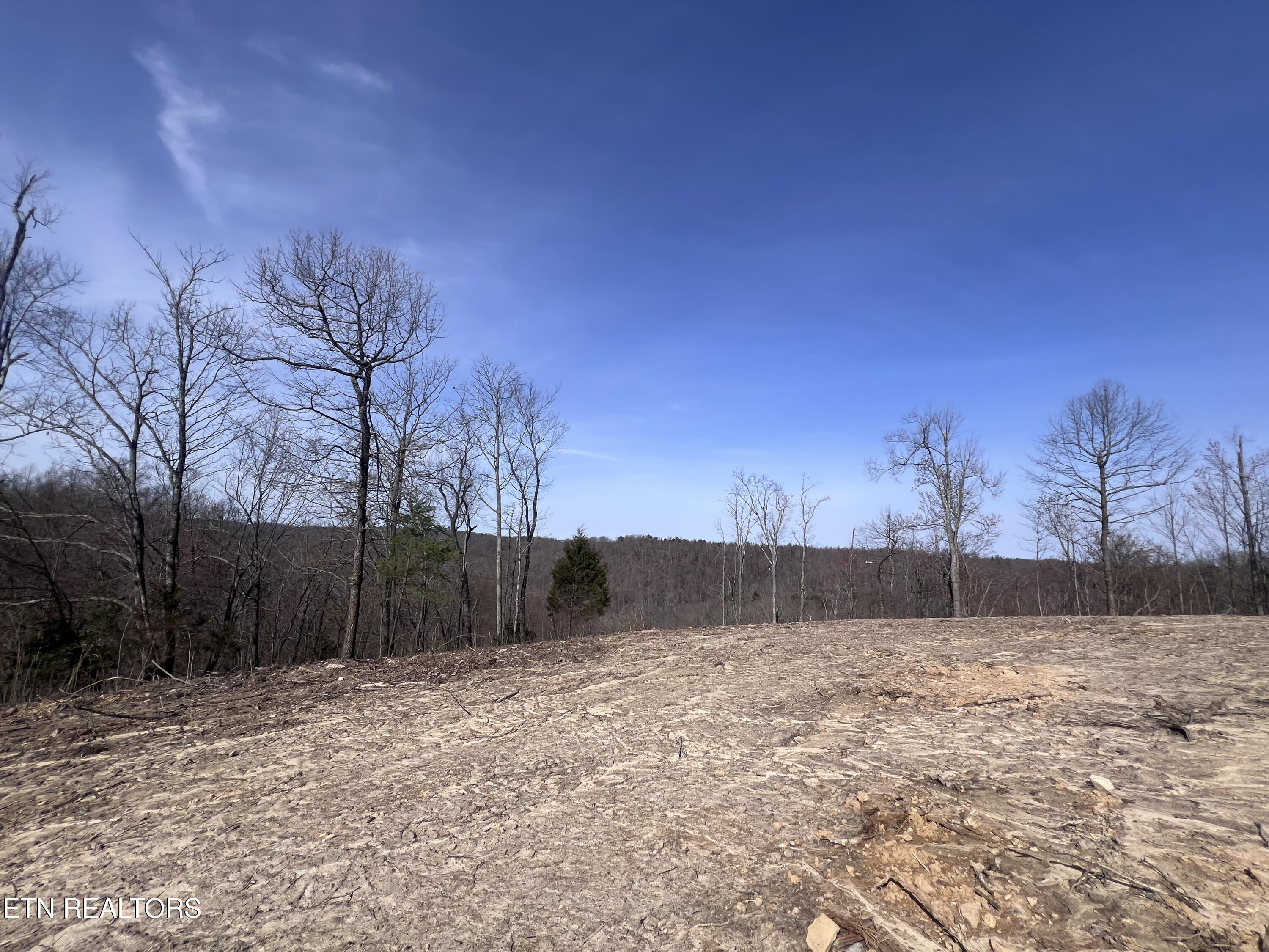 4575 Upper Crab Road Jamestown, TN 38556 - Photo 9 of 27 IMG_7100