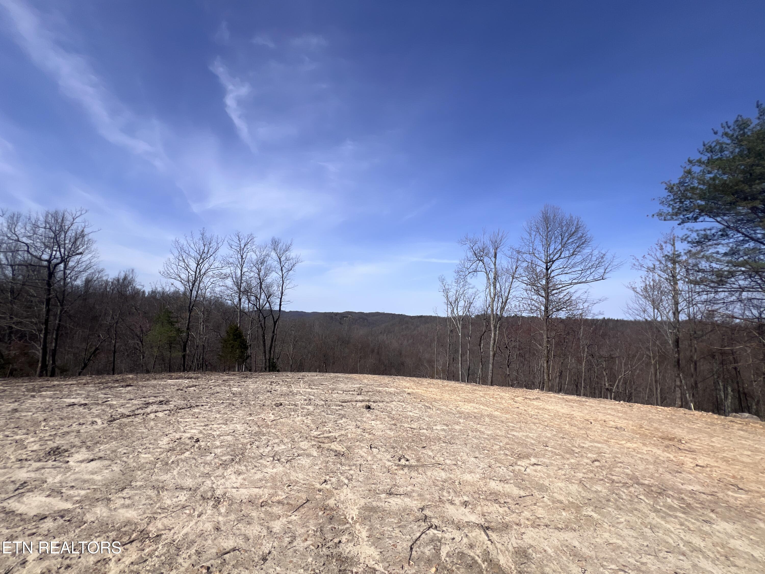 4575 Upper Crab Road Jamestown, TN 38556 - Photo 10 of 27 IMG_7103