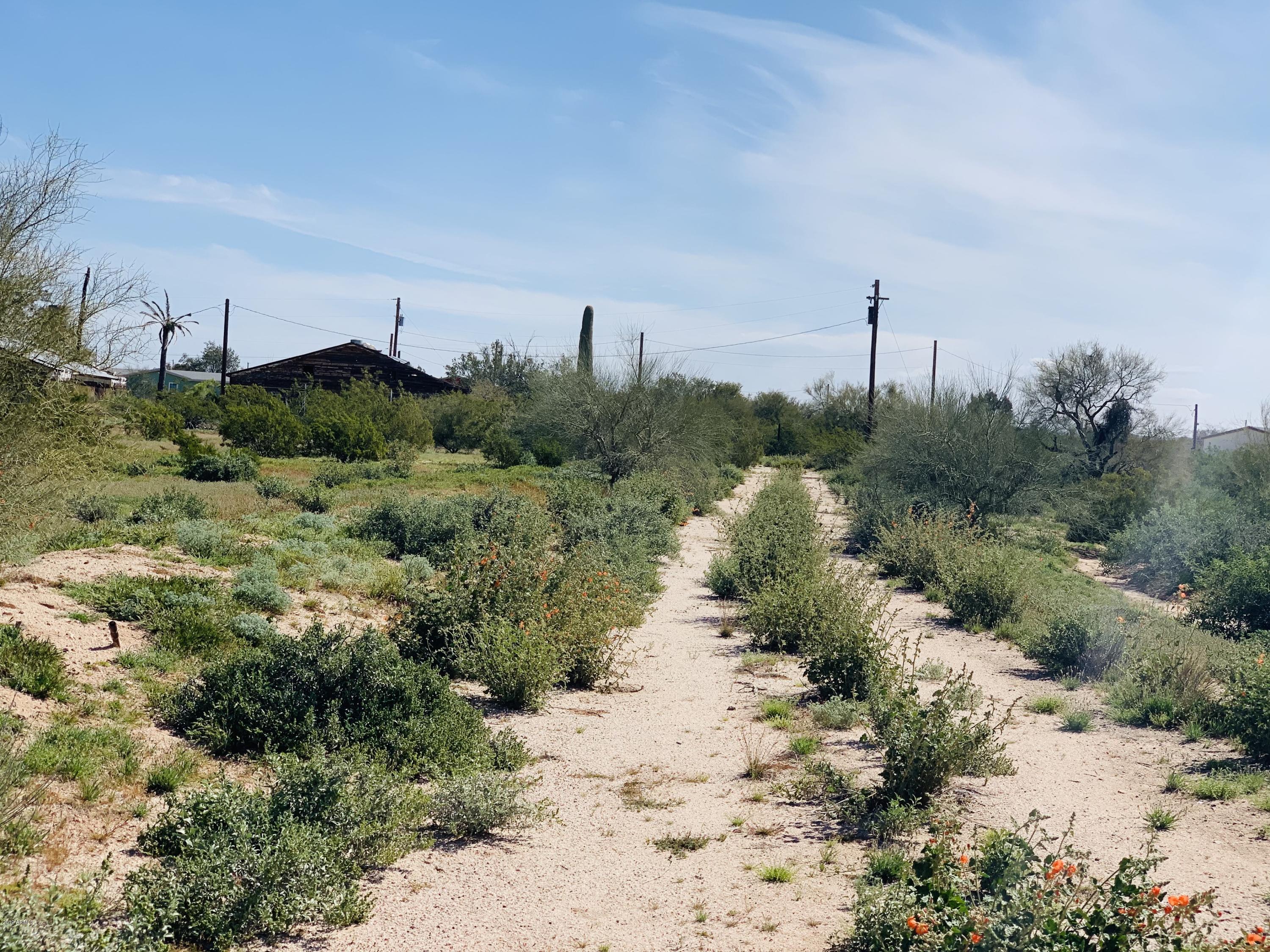 11935 North Diffin Road Florence, AZ 85132 - Photo 2 of 7 IMG_5092