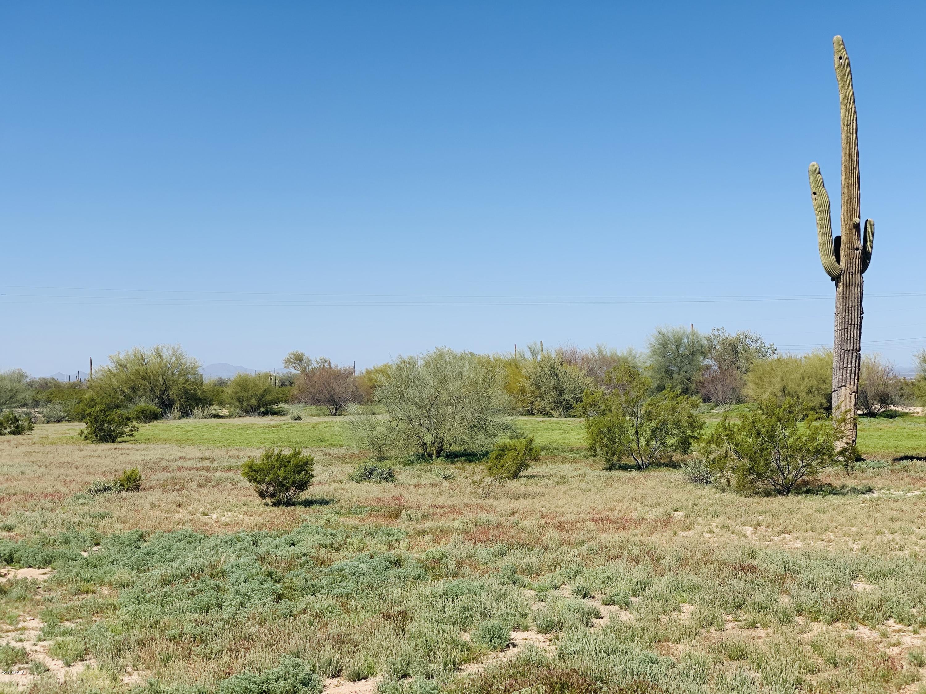 11935 North Diffin Road Florence, AZ 85132 - Photo 7 of 7 IMG_5094