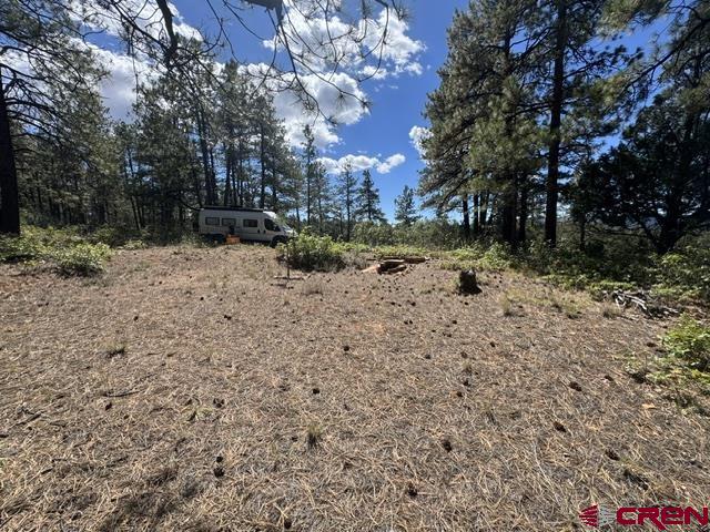 121 Engineer Point Pagosa Springs, CO 81147 - Photo 20 of 43
