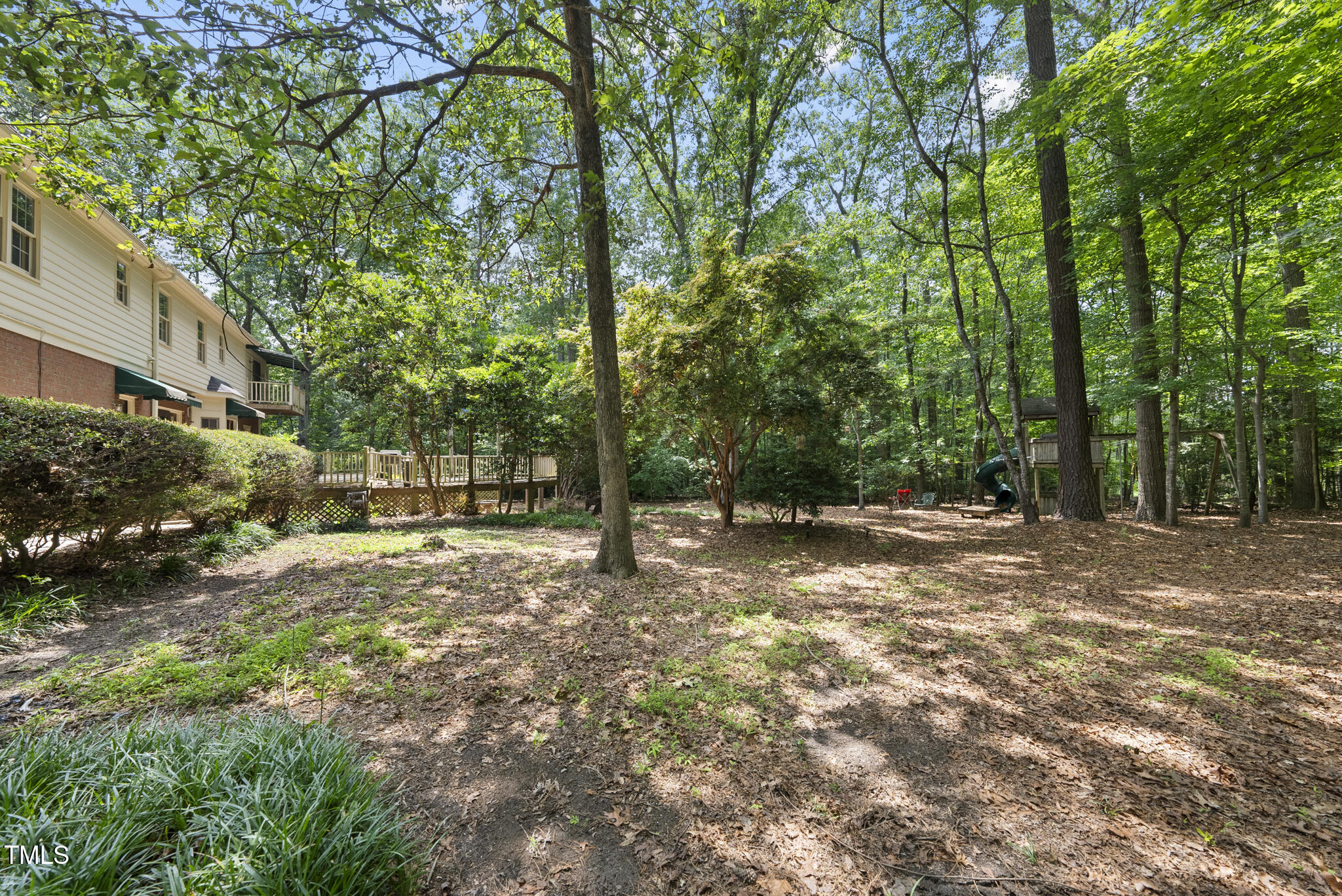 821 Ascot Lane Raleigh, NC 27615 - Photo 36 of 43 a view of a tree in the middle of a yard