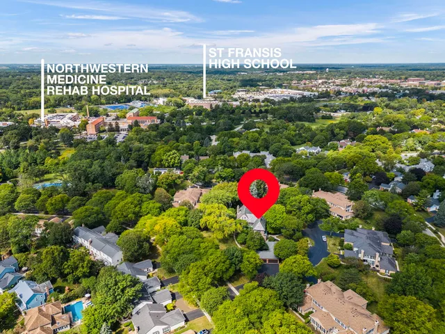 a view of a bunch of trees and flowers