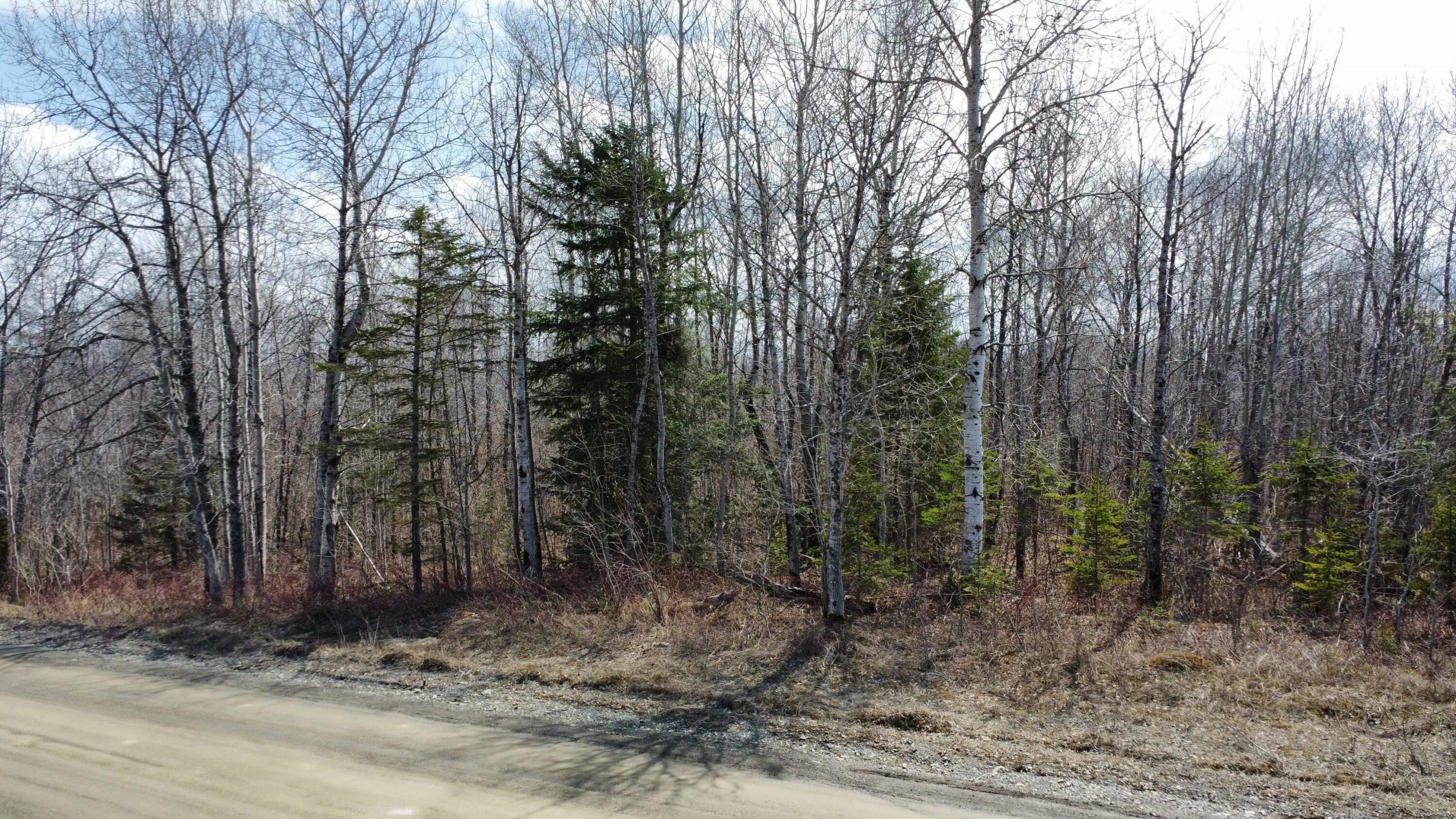 Map6-lot31 Mountain Road Blaine, ME 04734 - Photo 11 of 21 17