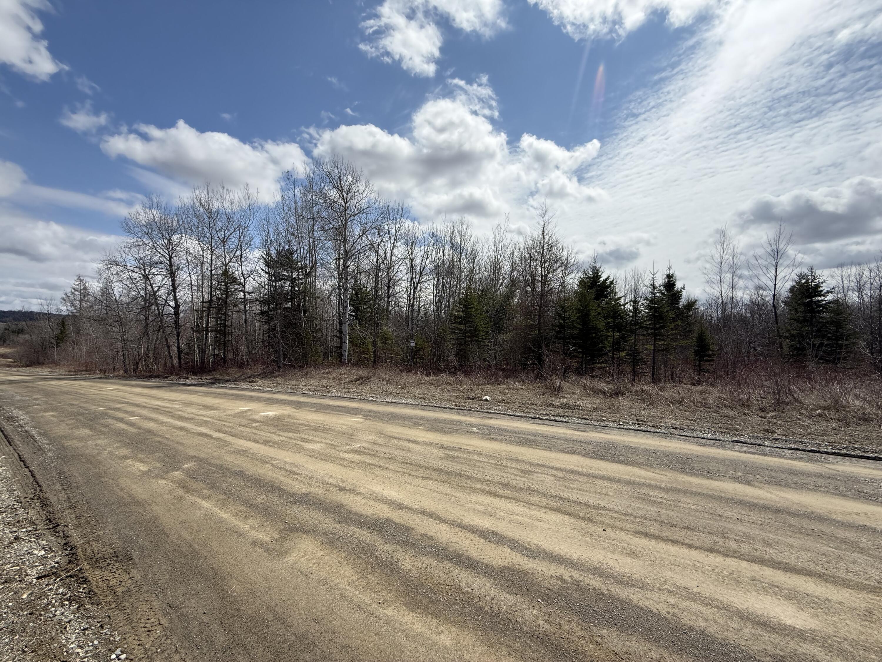Map6-lot31 Mountain Road Blaine, ME 04734 - Photo 12 of 21 IMG_4977