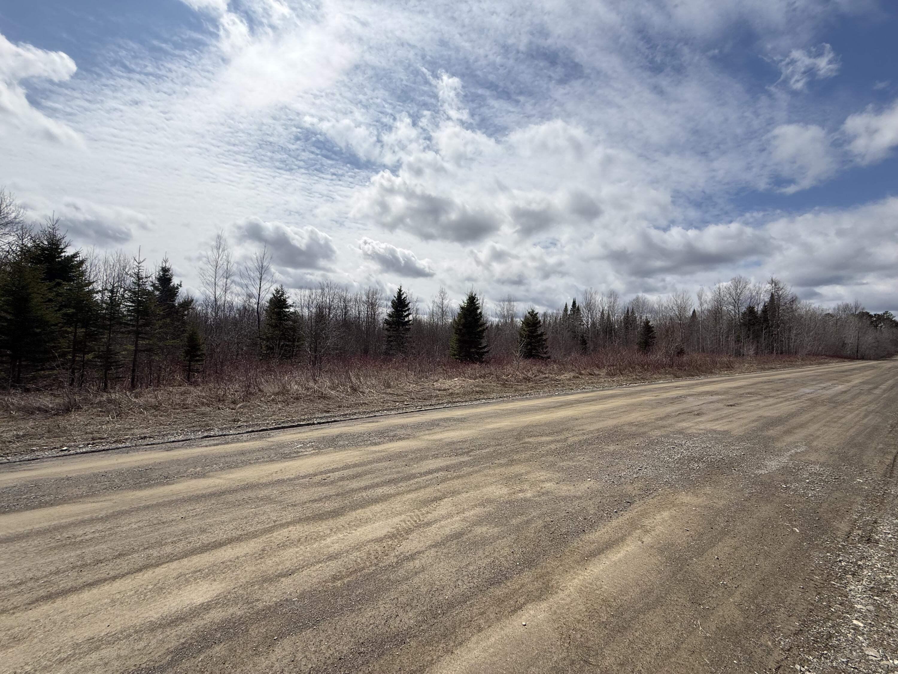 Map6-lot31 Mountain Road Blaine, ME 04734 - Photo 13 of 21 IMG_4979