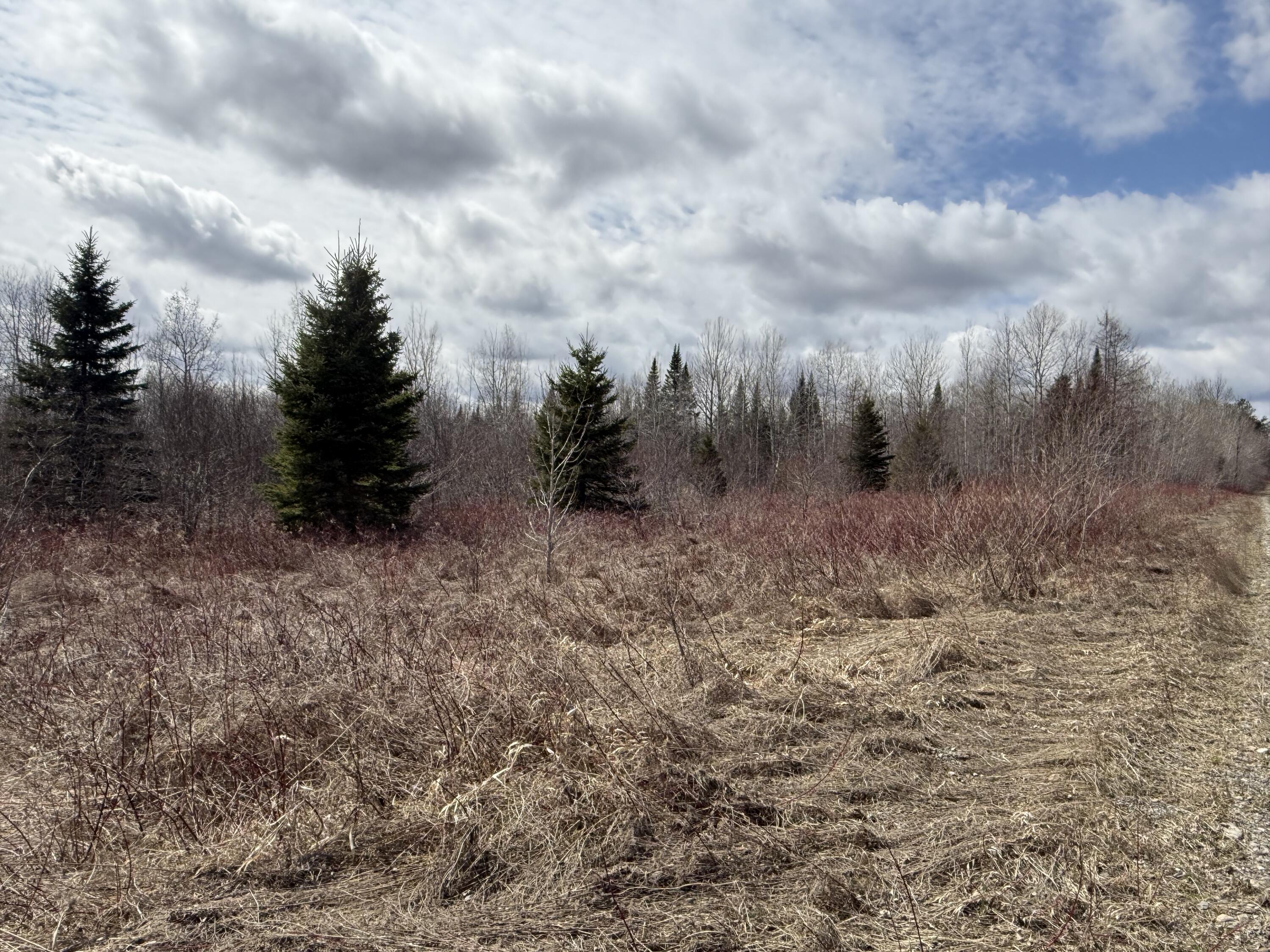 Map6-lot31 Mountain Road Blaine, ME 04734 - Photo 14 of 21 IMG_4980